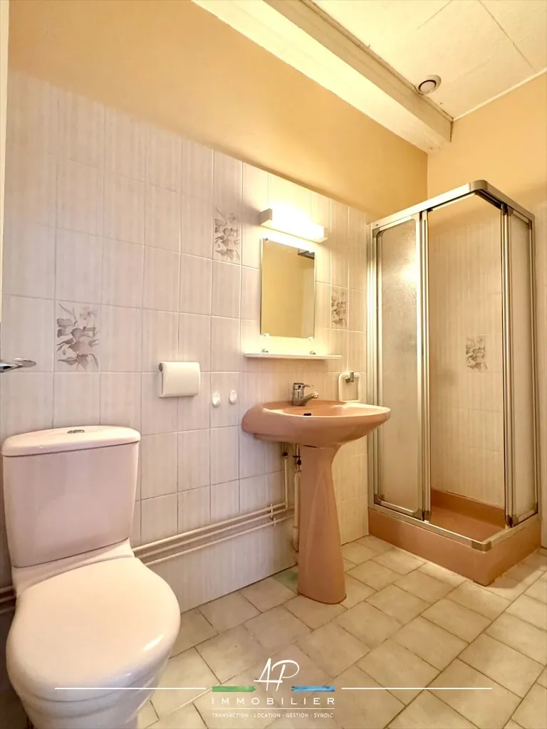 Vaste maison ancienne avec potentiel à Francheville, 6 chambres, jardin de 570 m² 