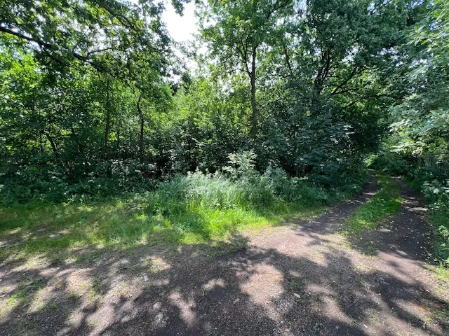 Terrain de loisir de plus de 7 000 m² à Mareuil-Caubert en bordure de rivière 