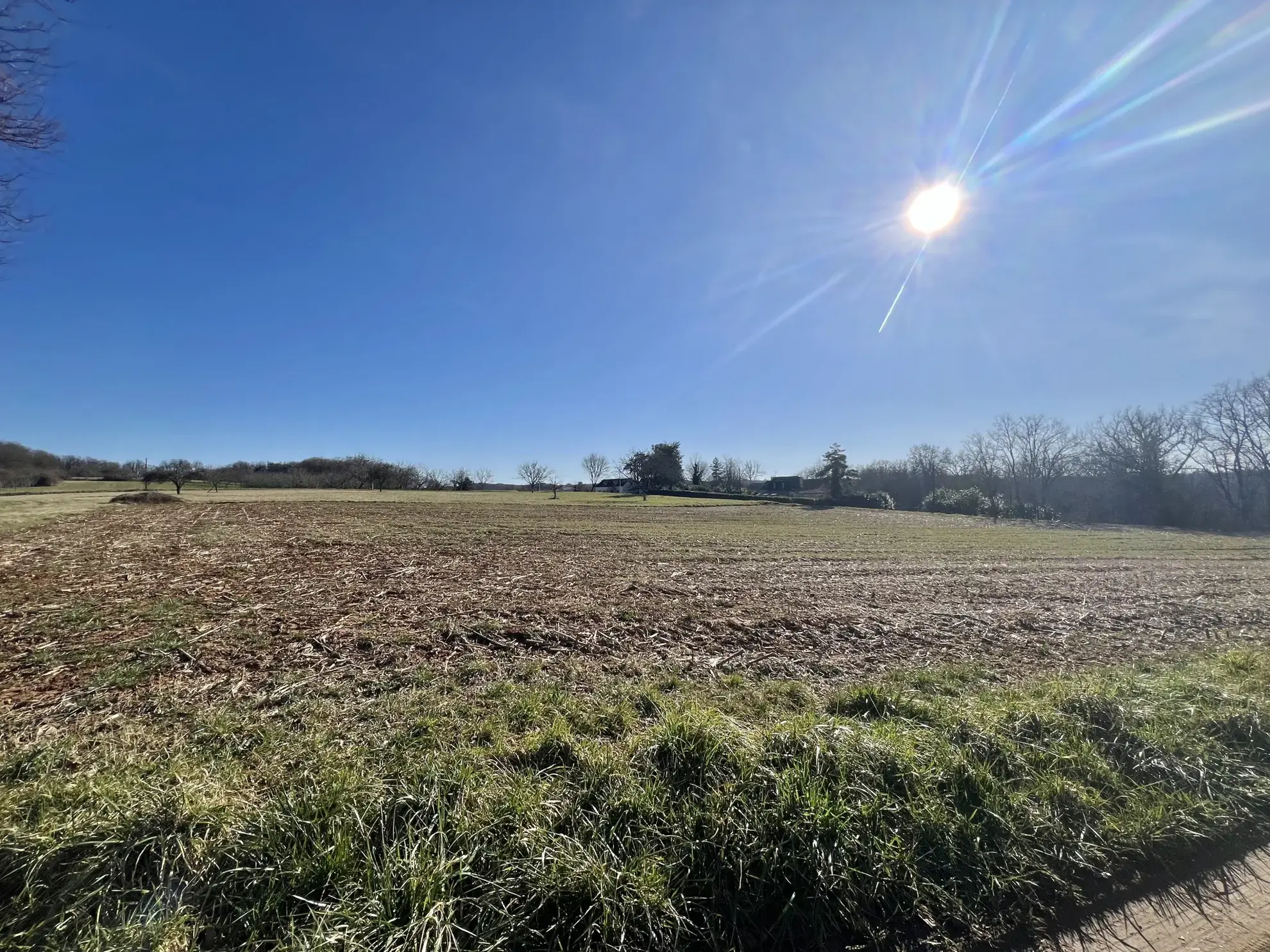 Terrain constructible de 15 599 m² à La Cassagne en campagne 