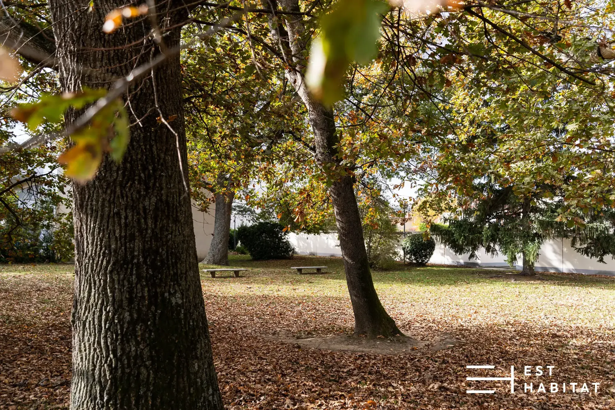 Charmant T2 avec vue sur parc à Saint Exupéry, Toulouse 