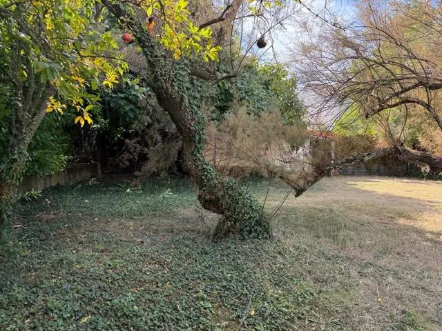 Terrain constructible de 295 m² à Villevielle proche de Sommières