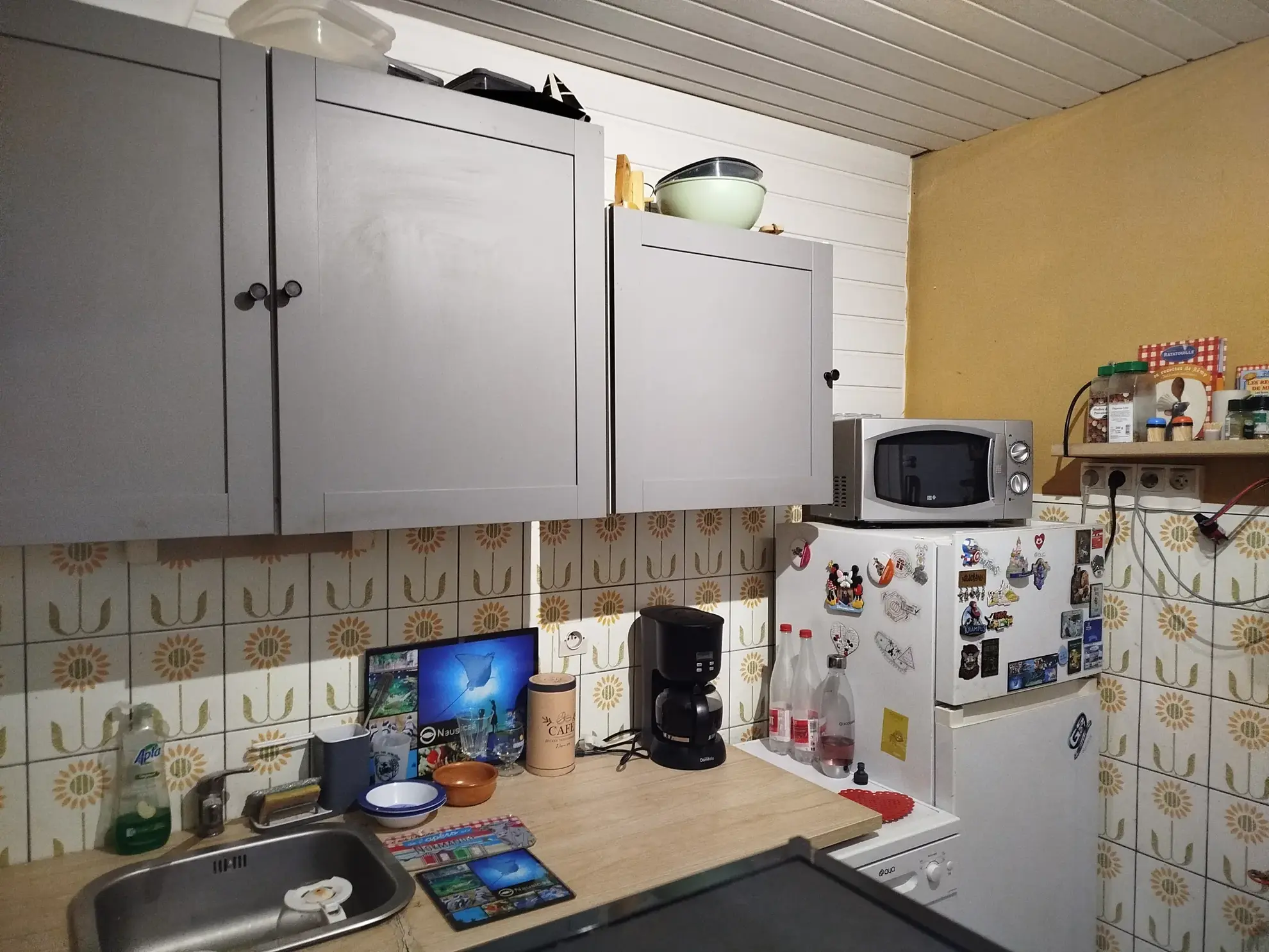 Ancien Corps de Ferme à Vendre à Vaillant, Potentiel et Cadre Naturel 