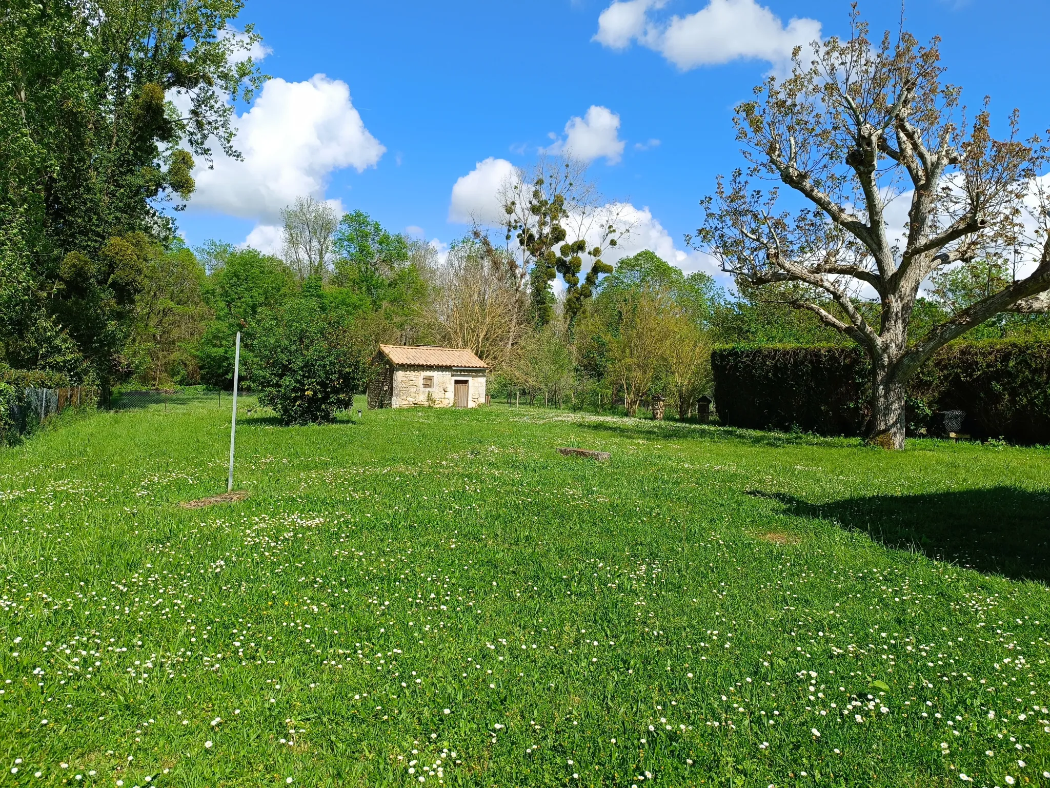 Maison à vendre à Thaims avec grand jardin, garage et terrasse - Idéal première acquisition 