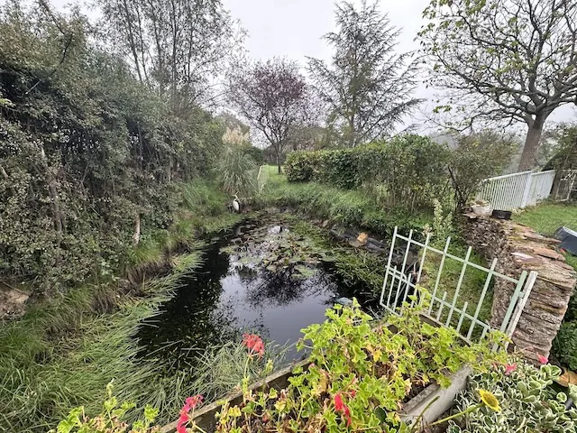 Vente ferme rénovée avec dépendances à Melay (71340) - 4 chambres, terrain de 3000 m² 