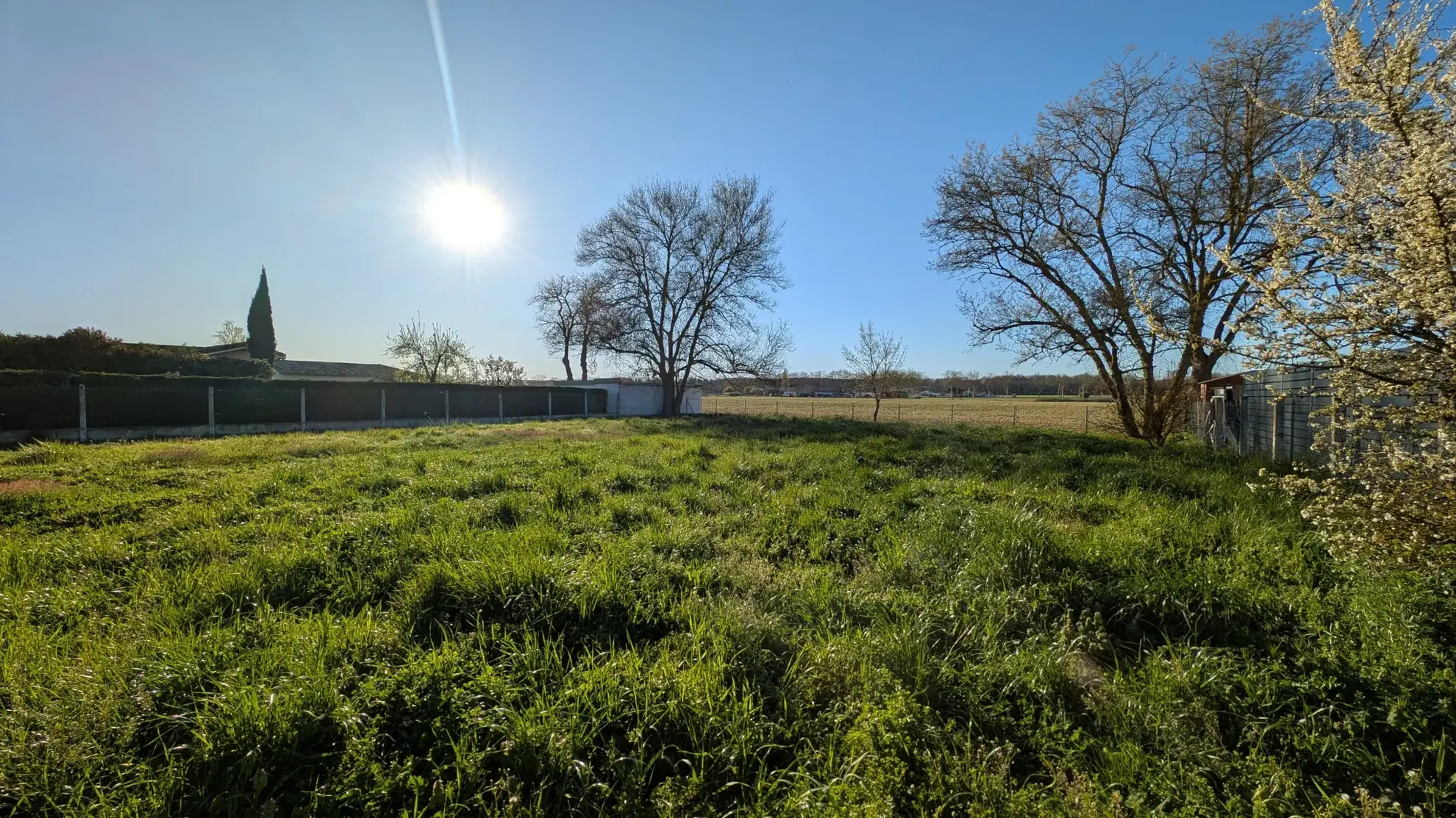 Terrain constructible de 805 m² à Plaisance du Touch - Opportunité à saisir