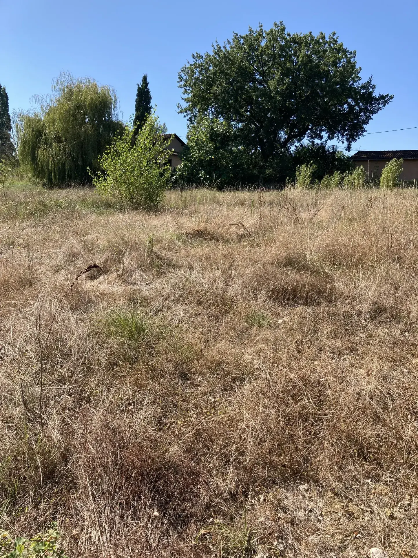 Terrain constructible de 945 m² à Villemur-sur-Tarn, environnement calme