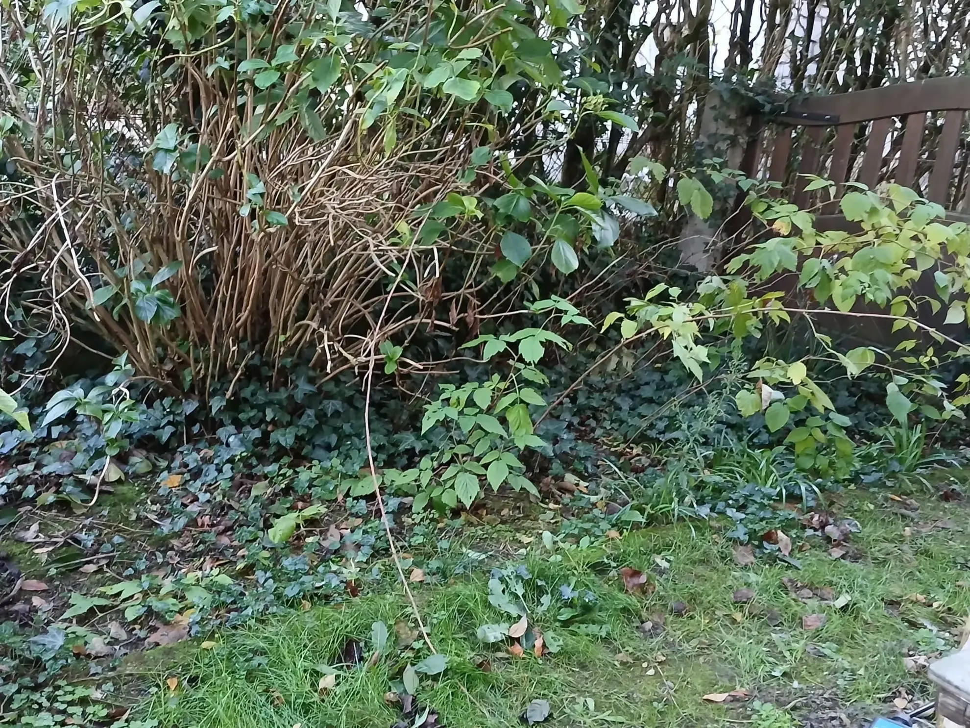 Maison mitoyenne à vendre à Castres, 4 chambres, jardin privé, proche commodités 