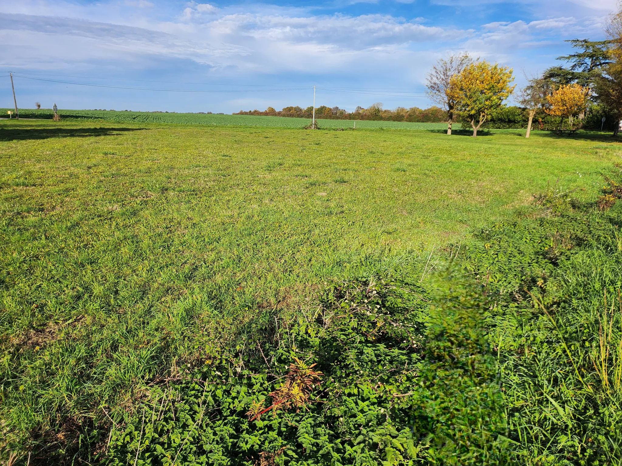 Terrain constructible de 504 m² aux Magnils-Reigniers proche Luçon