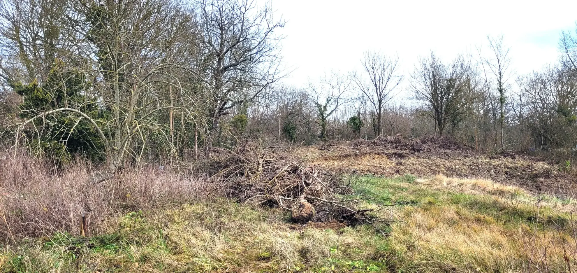 Terrain constructible de 776 m² à Soignolles en Brie - Opportunité rare