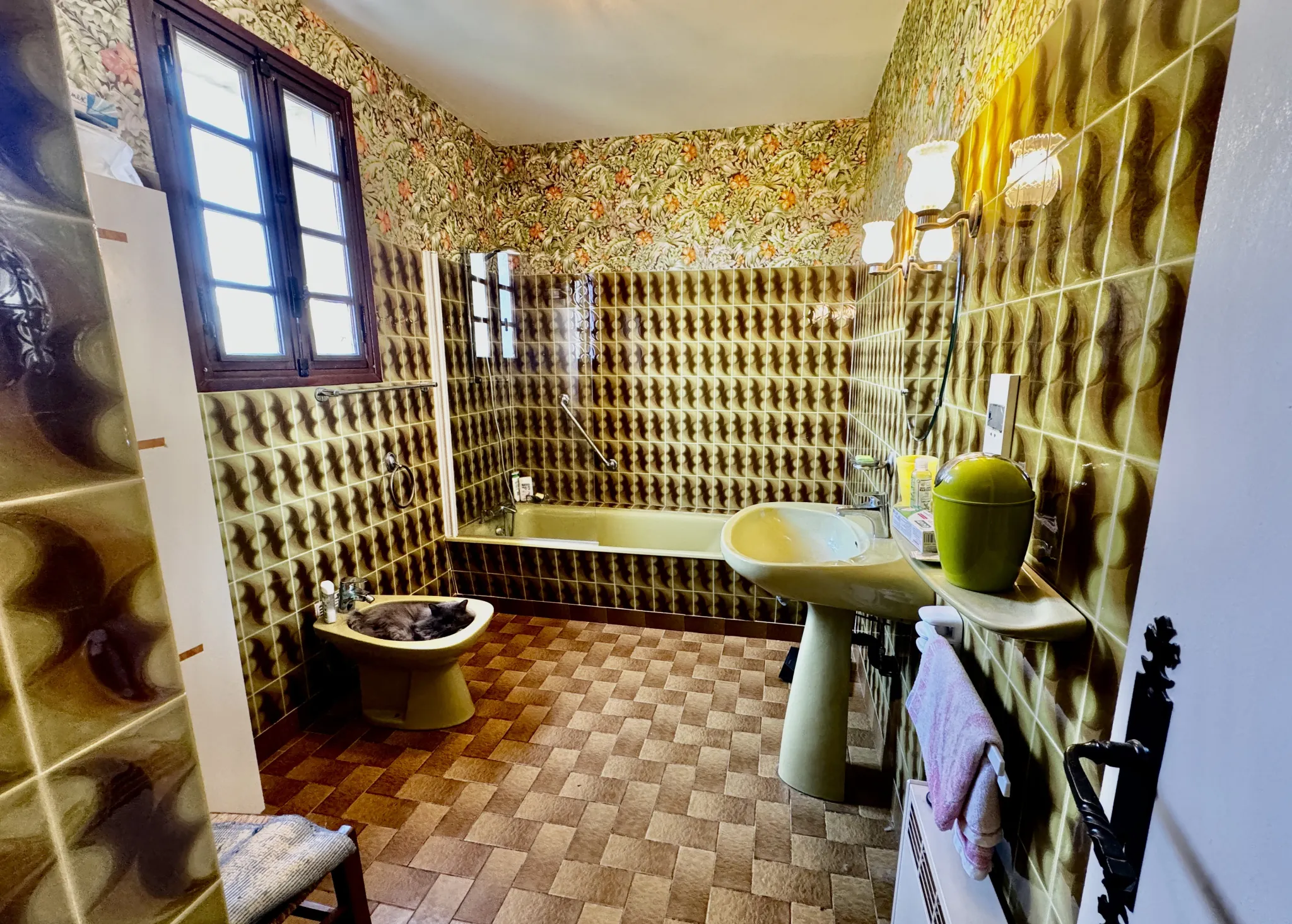 Maison 3 chambres avec grange et étable en campagne à Degagnac - Viager occupé 