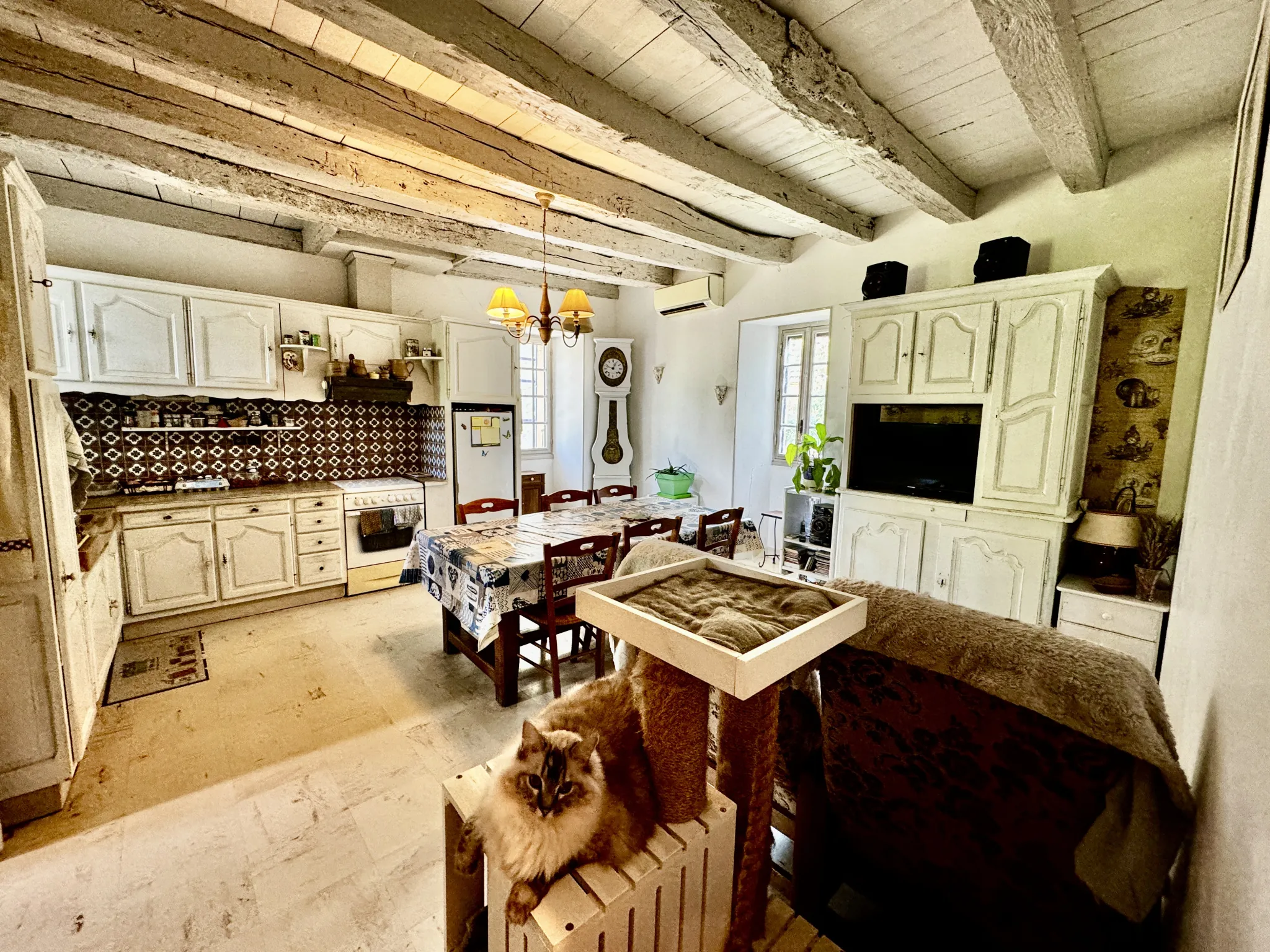 Maison 3 chambres avec grange et étable en campagne à Degagnac - Viager occupé 