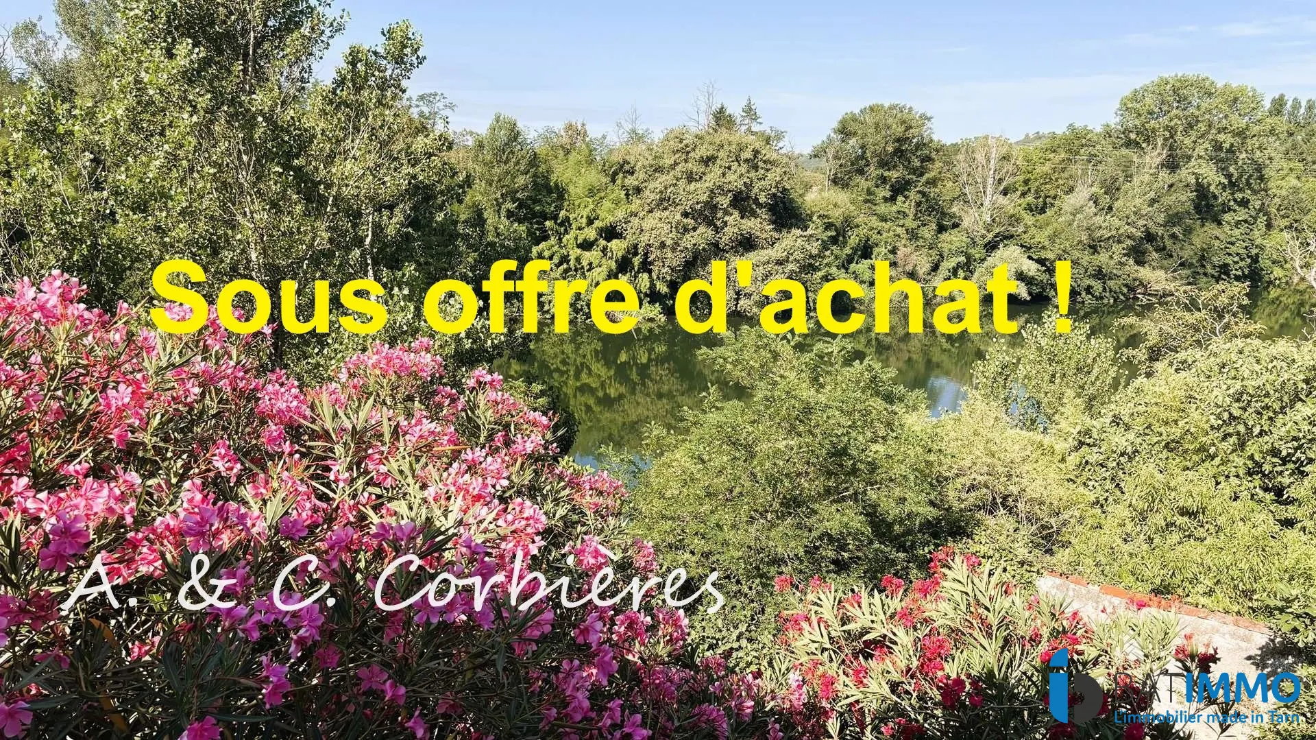 Immeuble de 90 m² à vendre à Albi avec vue sur le Tarn - Opportunité d'investissement