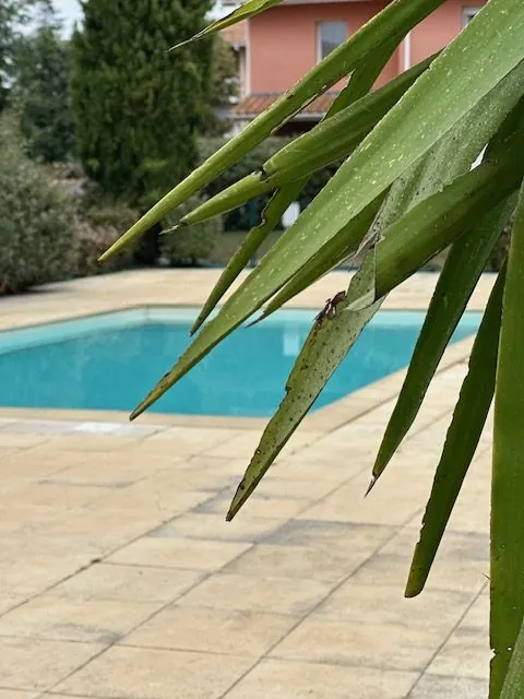 Appartement lumineux de 63m² à Dax avec balcon, piscine, et parking sécurisé