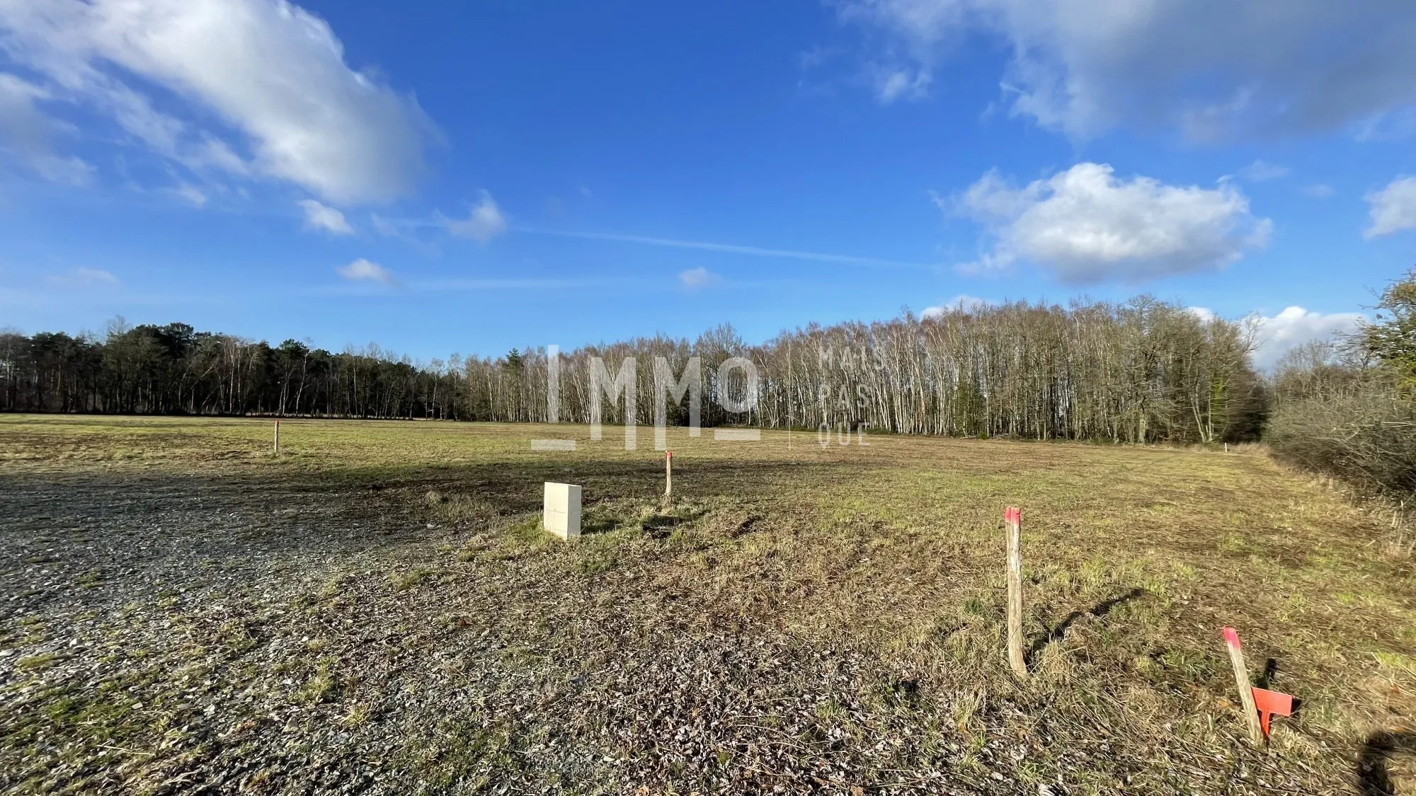 Terrain constructible de 3600 m² à vendre près du Grand-Lucé en Sarthe