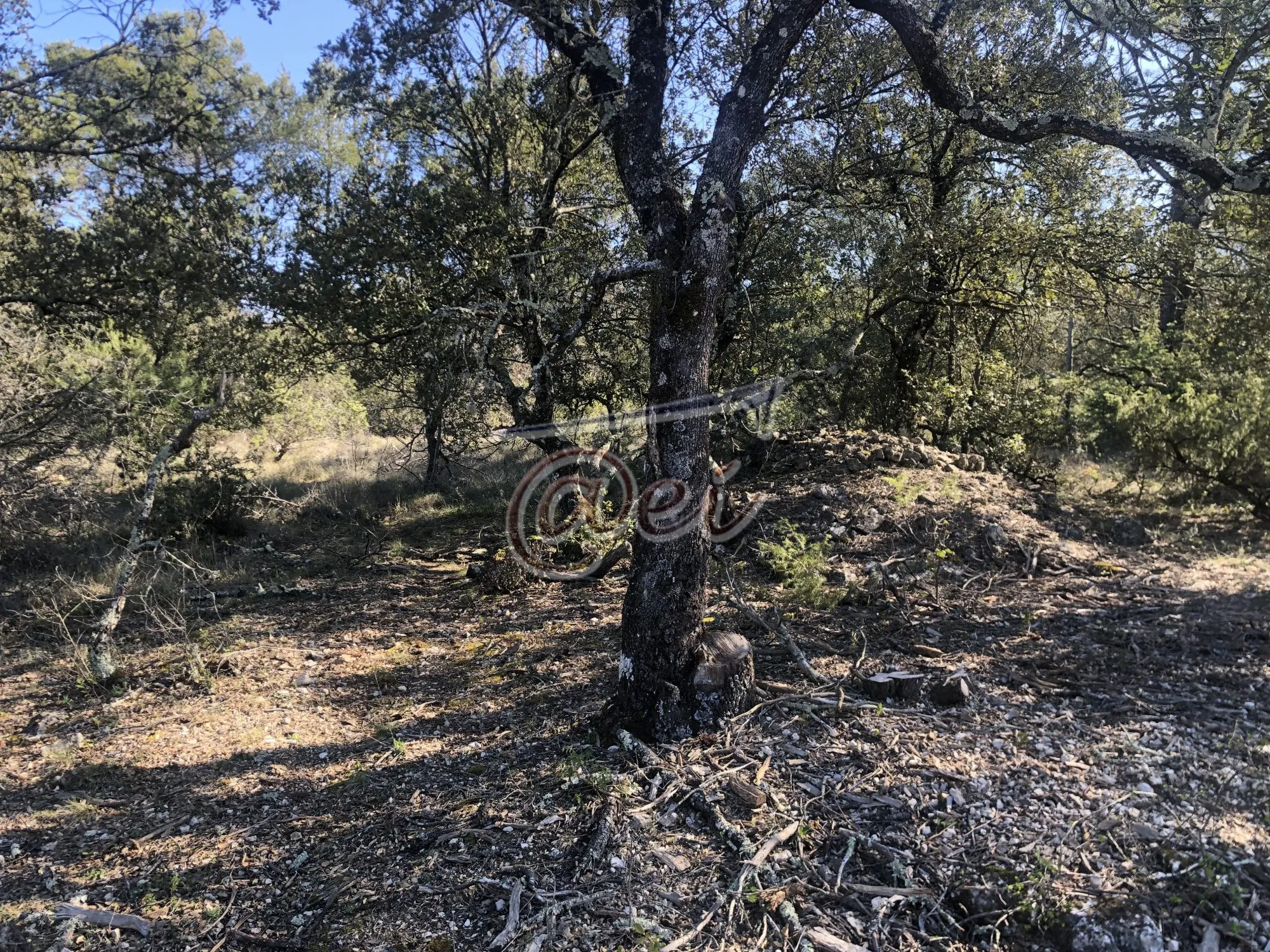 Terrain constructible de 1330 m² à Saint Martin - Idéal environnement naturel