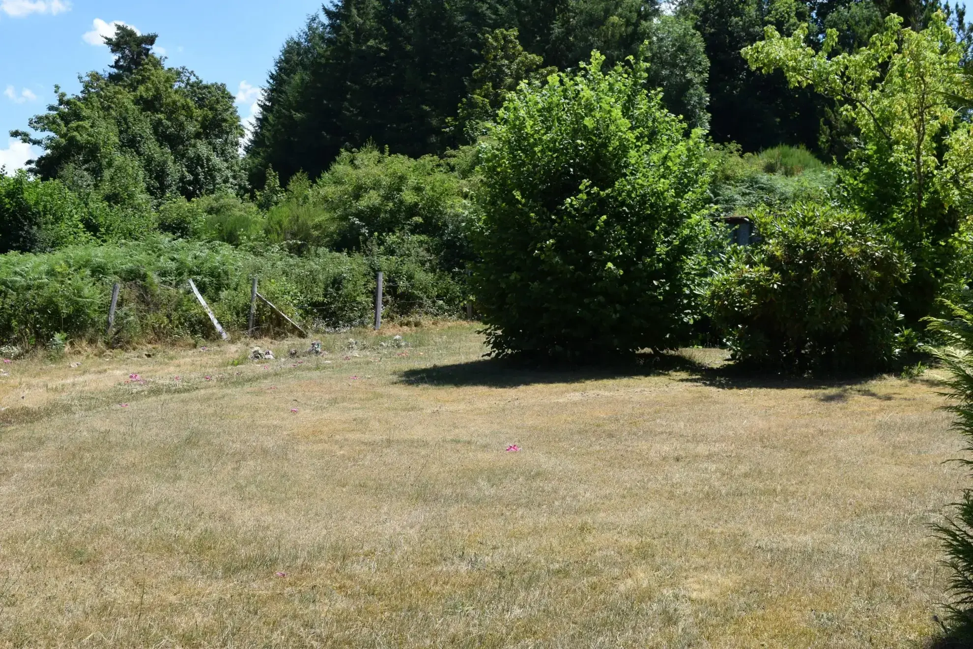 Charmante maison en pierre à vendre au cœur du parc Livradois-Forez 