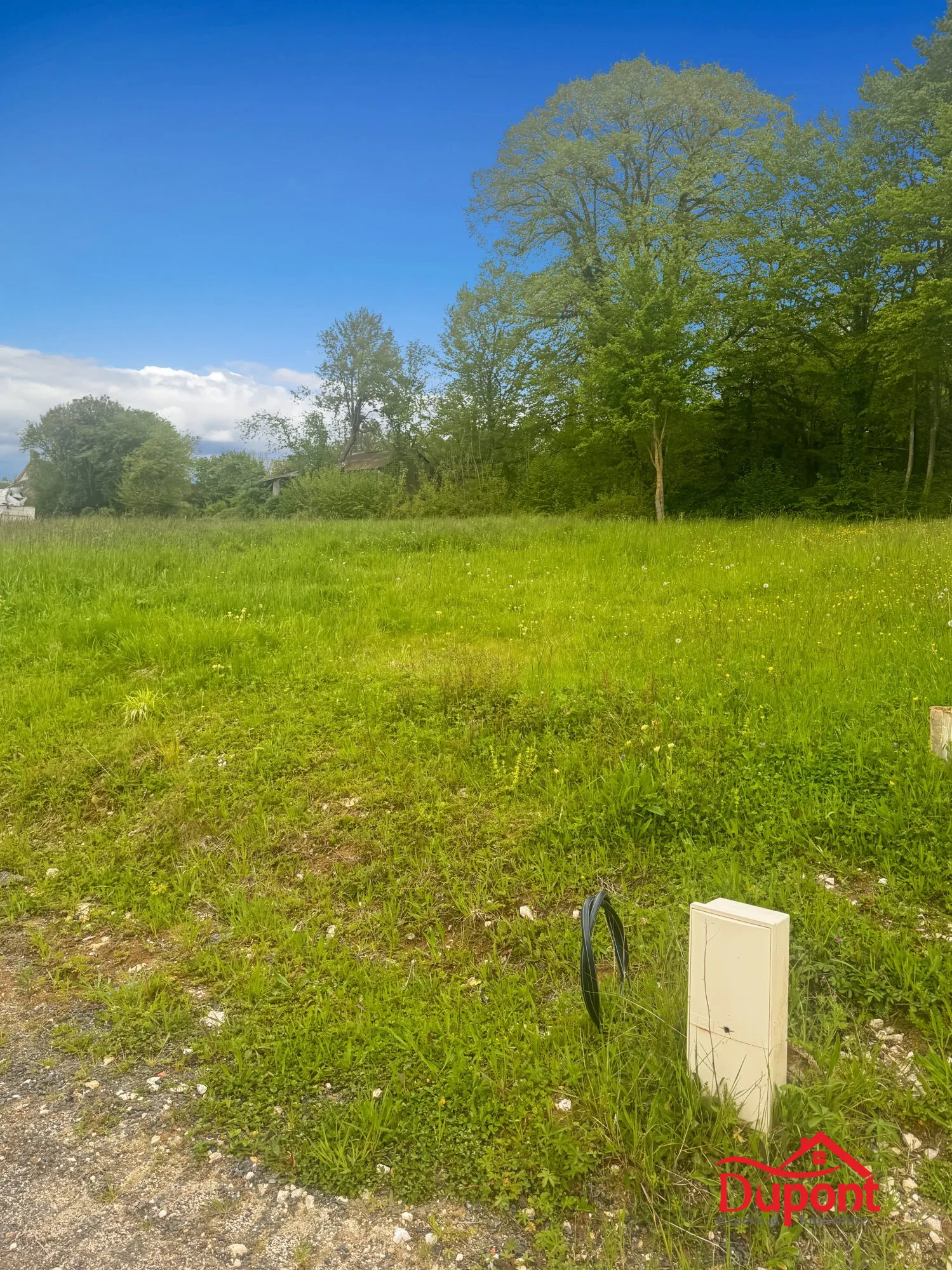 Terrain constructible à Neuvy (51) - 1684 m² dans un environnement paisible
