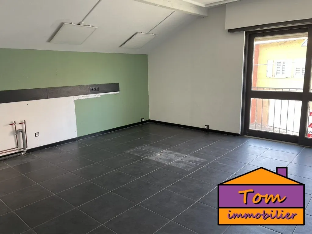 À vendre local commercial à Sarrebourg Hoff avec jardin et parking 