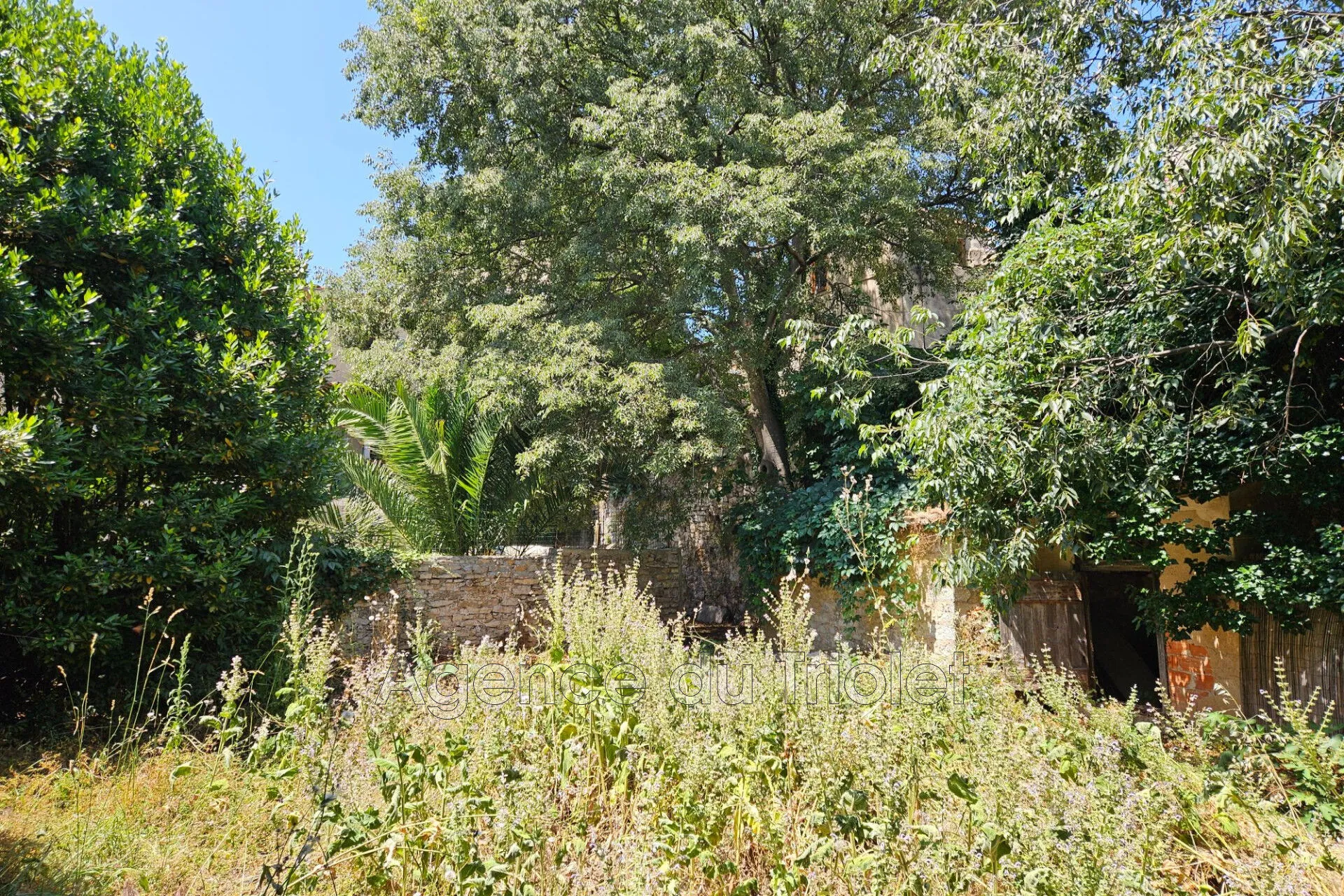 Maison de village rénovée à Viols-le-Fort avec jardin et annexes