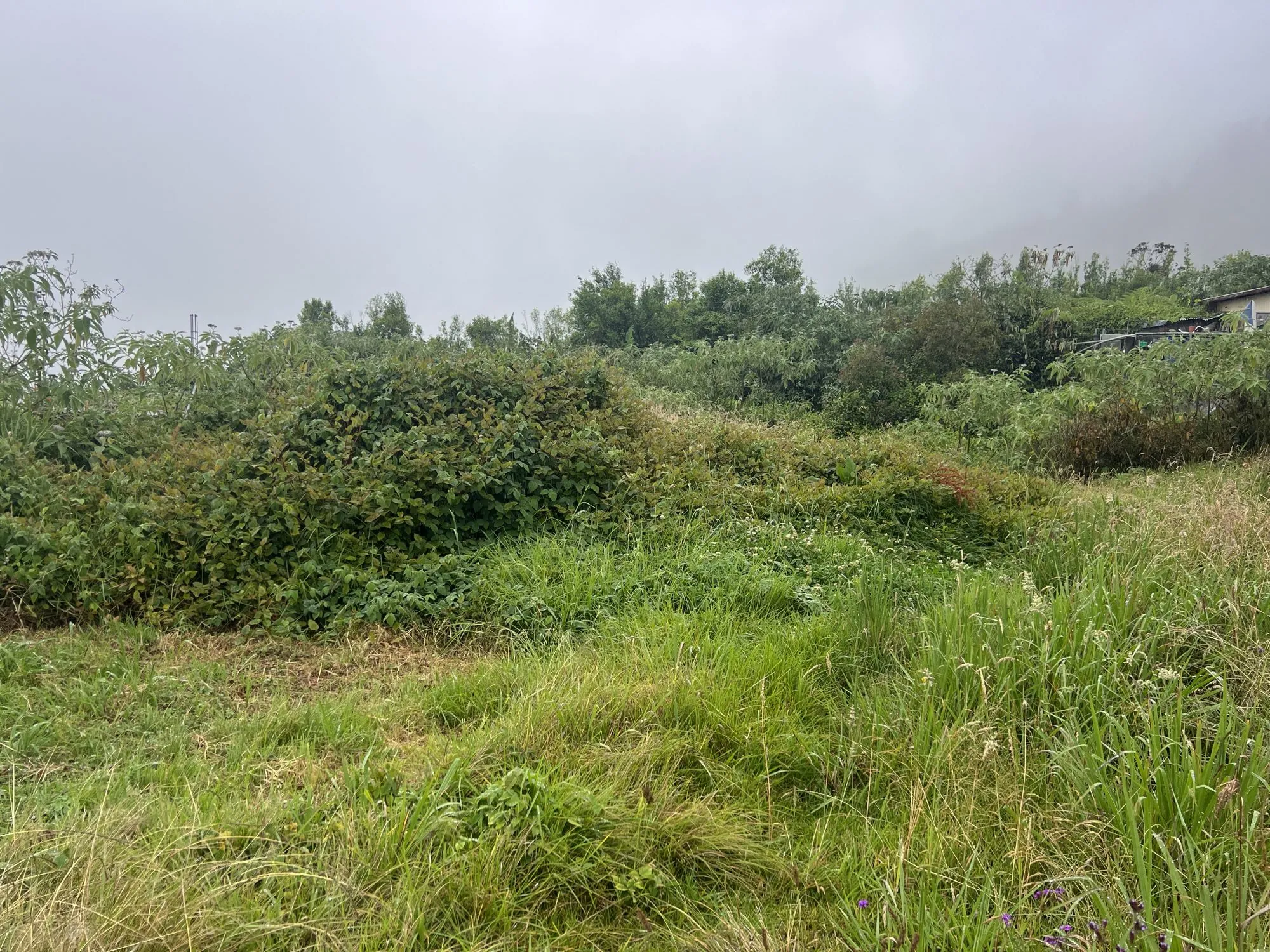 Terrain constructible à vendre à La Plaine des Palmistes – 370 m²