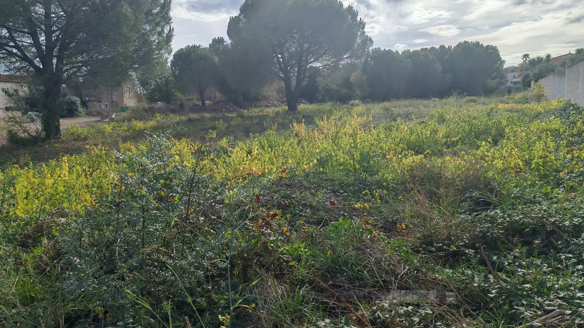 Terrain constructible de 547 m² à Béziers, secteur calme, hors lotissement