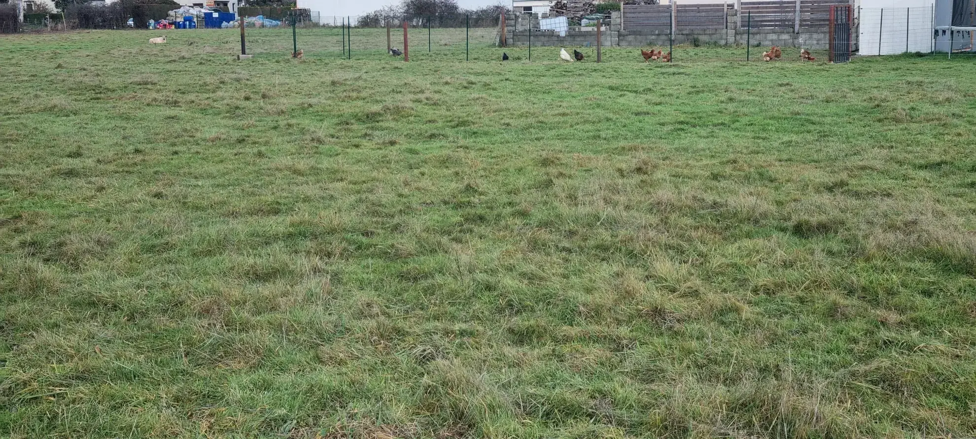 Terrains constructibles à La Ville aux Clercs – Prêts à bâtir