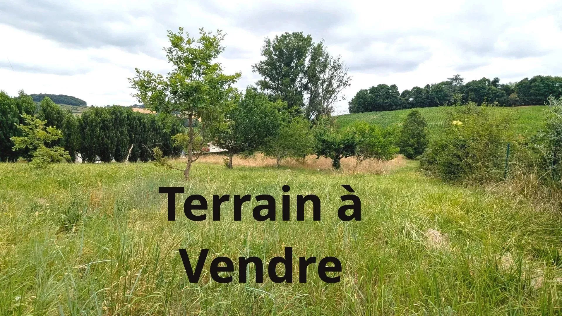 Paysage champêtre avec arbres et herbe sous un ciel nuageux. Terrain constructible de 2970 m² à La Sauvetat-de-Savères, vue campagne