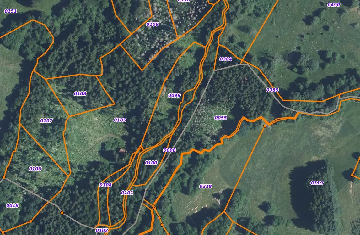 Terrain forestier à vendre à Saulxures-sur-Moselotte – projet nature et calme