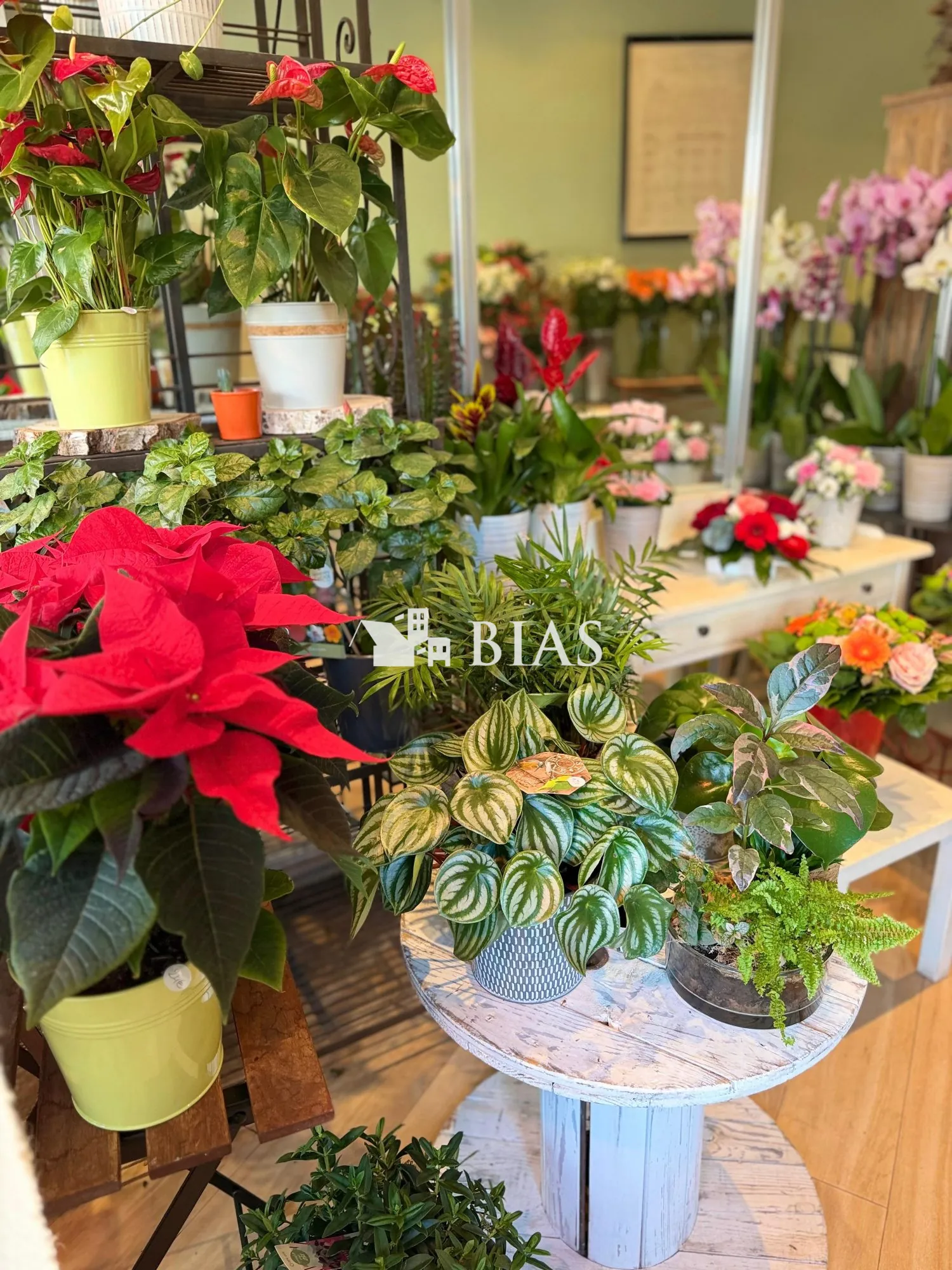 Fonds de commerce Fleuriste à vendre à Antony - Emplacement stratégique, petite boutique pleine de charme