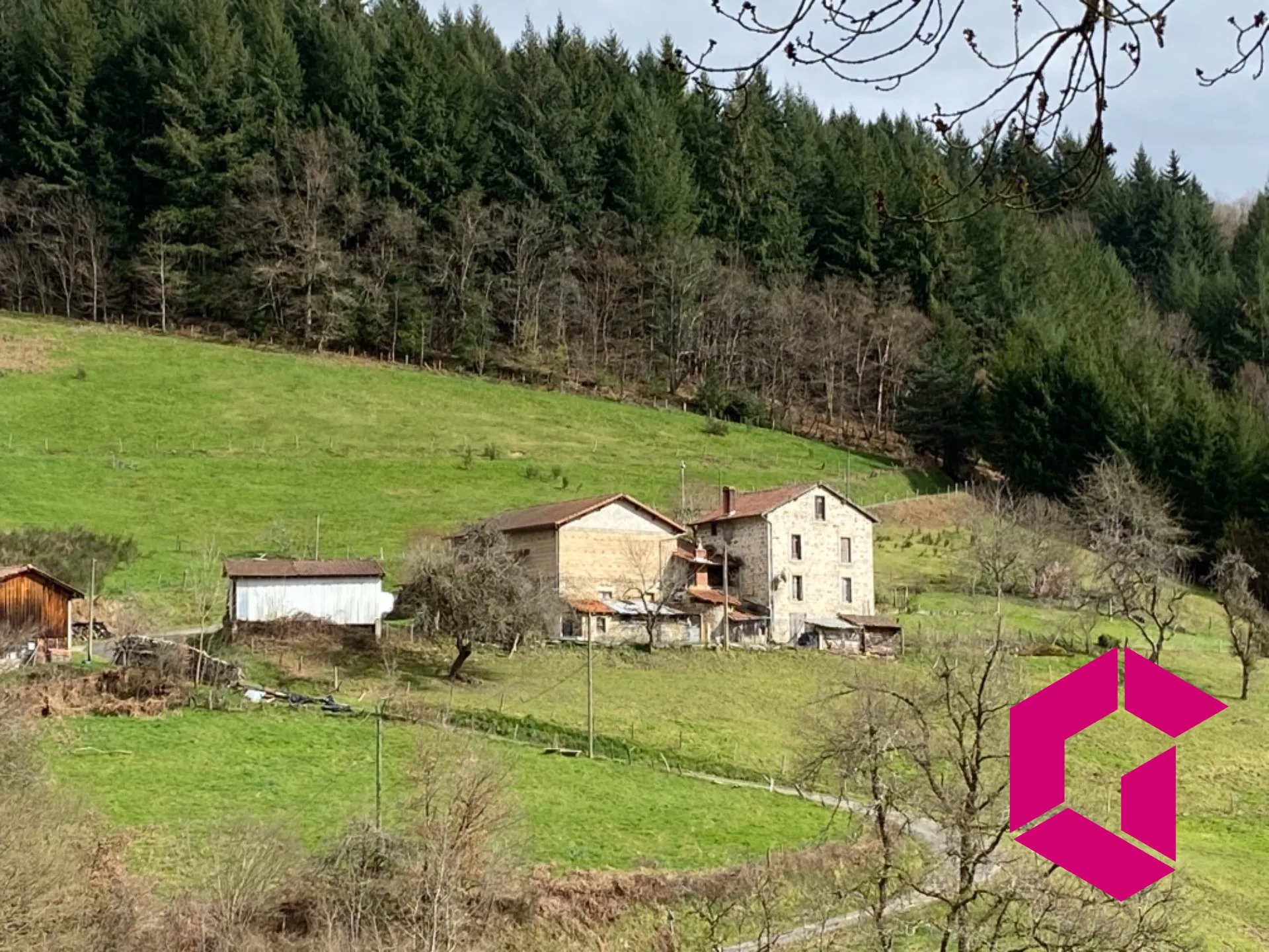 Authentique ferme à vendre à Olmet en Auvergne avec grand terrain et potentiel d'agrandissement