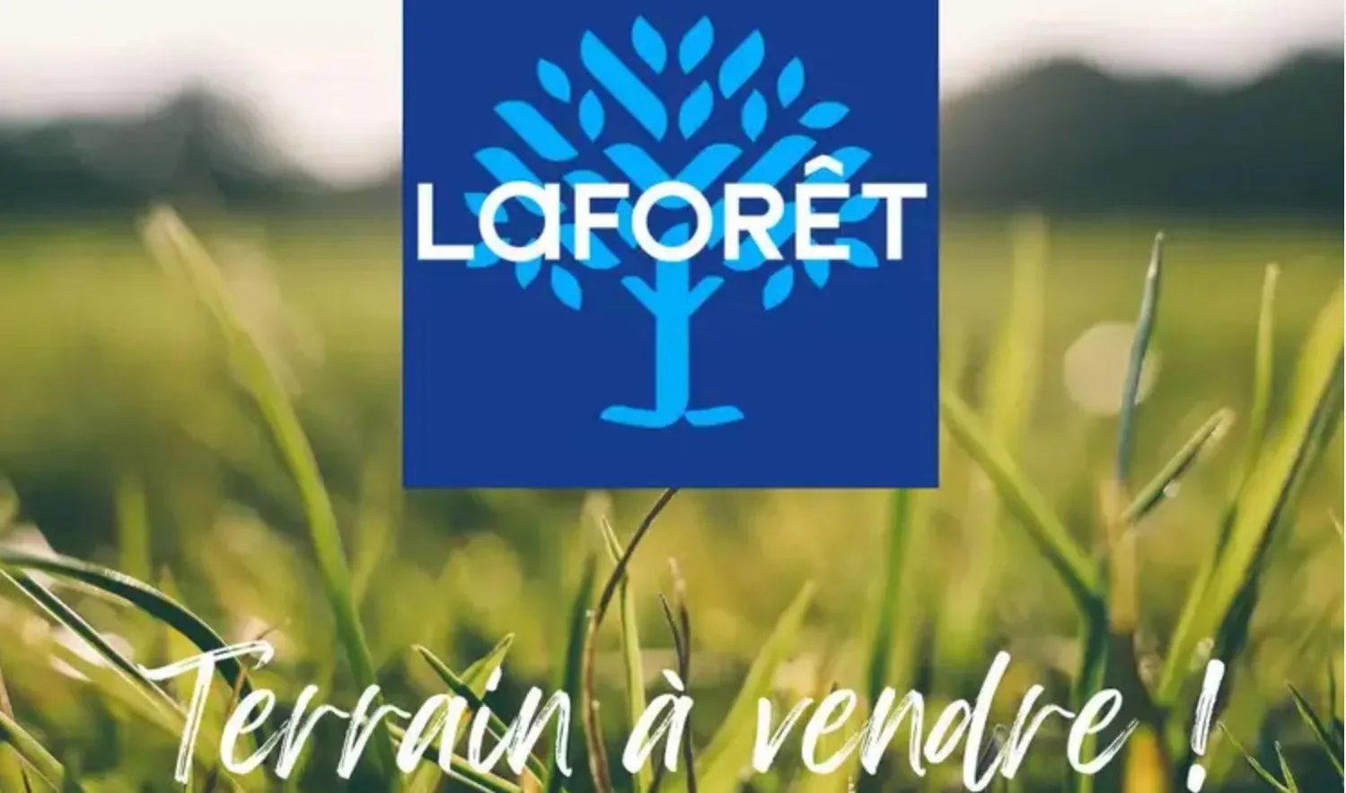 Terrain constructible de 1006 m² à Penmarch, proche plages