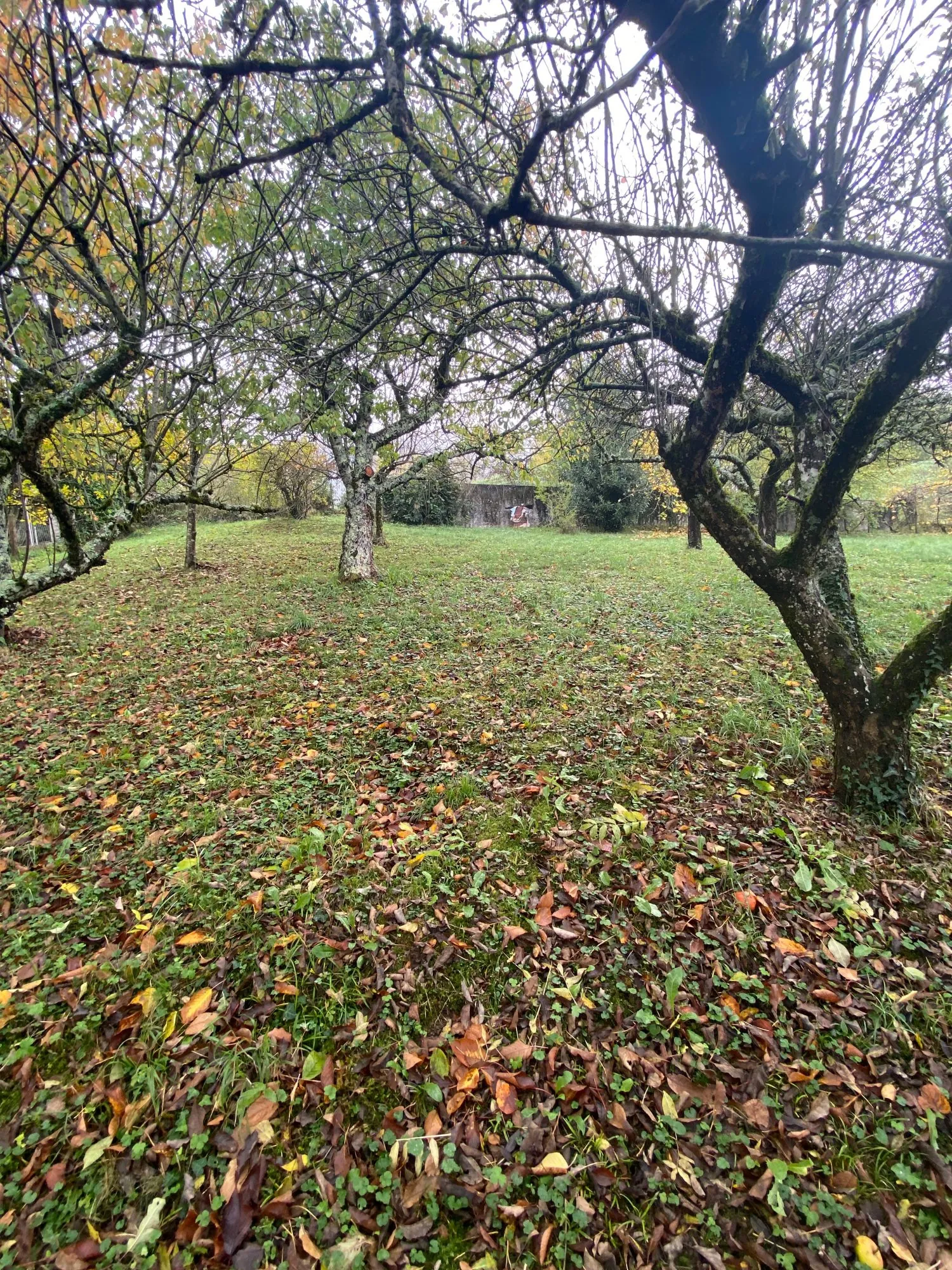 Terrain constructible de 1222 m² à Saint-Laurent-en-Royans avec vue et commodités