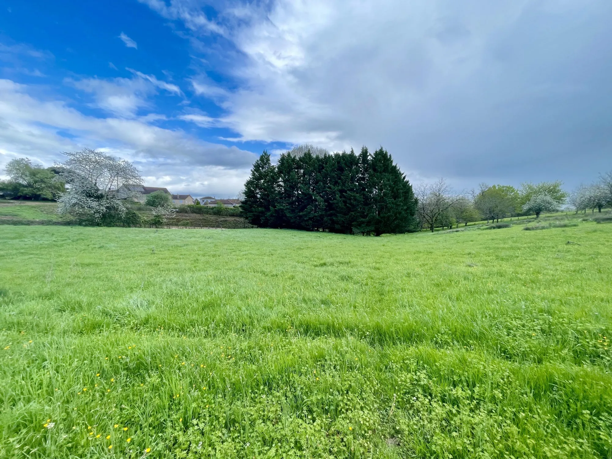 Terrain constructible de 6000 m² à Thiviers, emplacement privilégié 