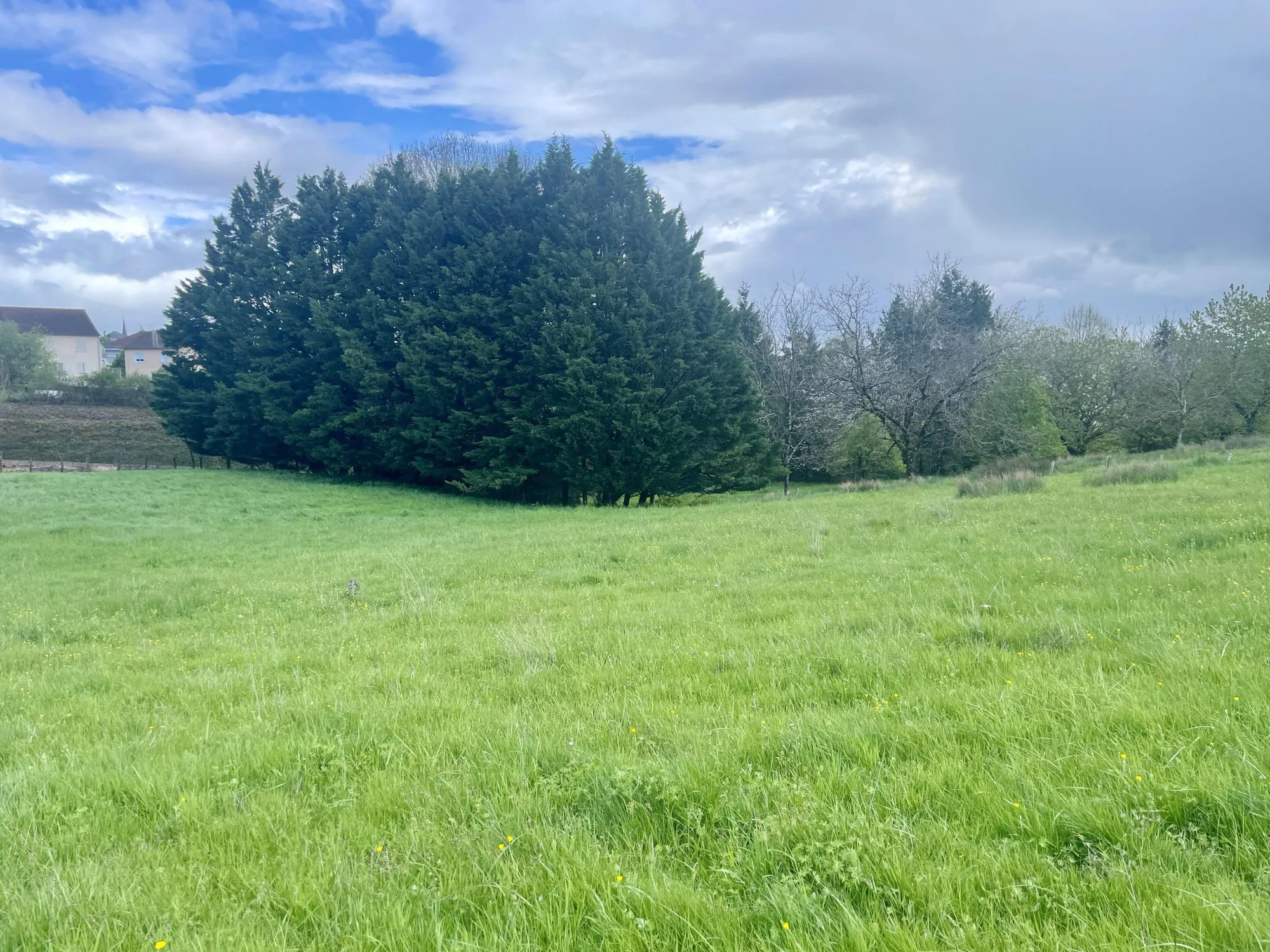 Terrain constructible de 6000 m² à Thiviers, emplacement privilégié 