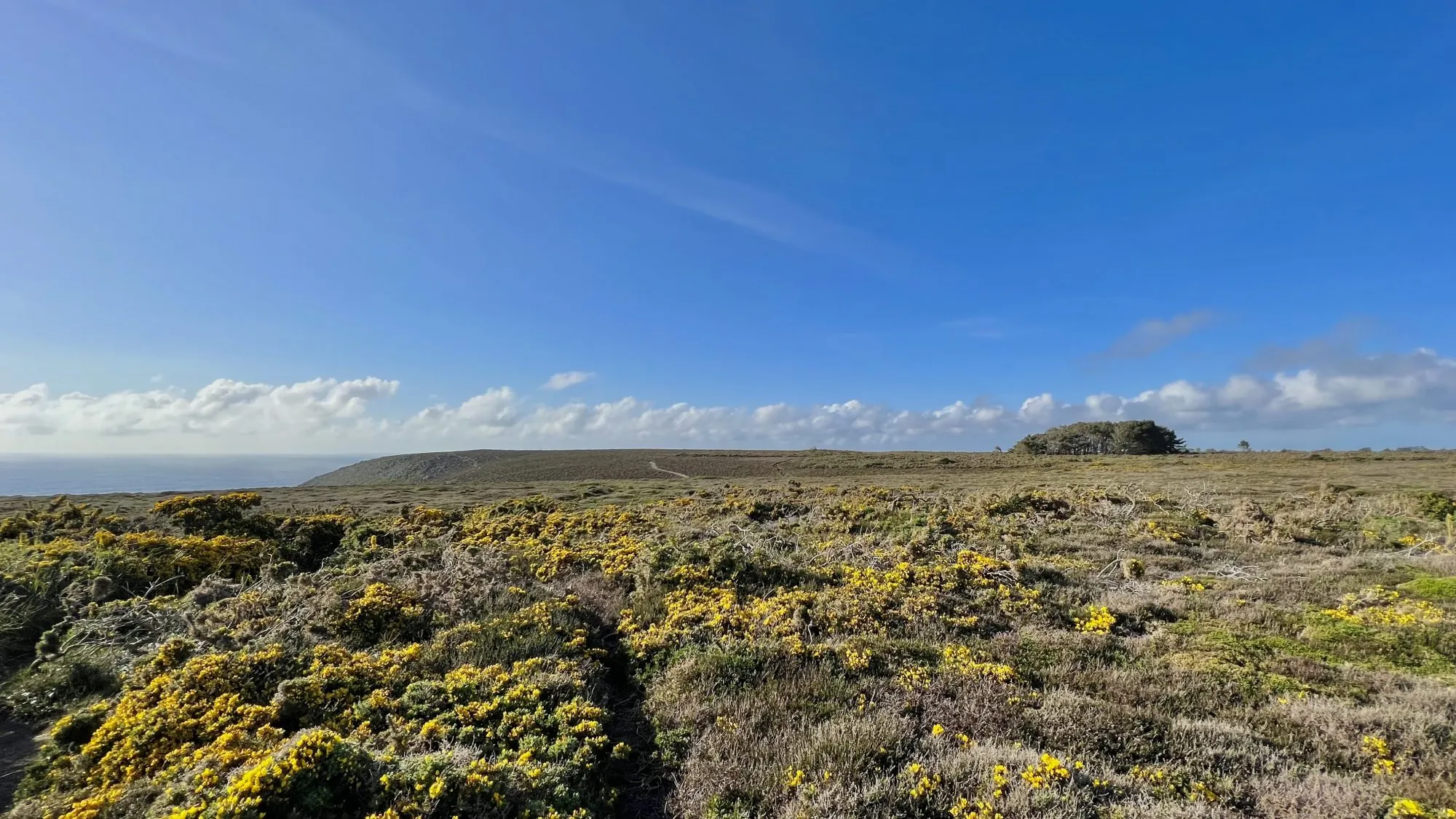 Appartement T2 neuf en dernier étage à Crozon, livraison 2027 