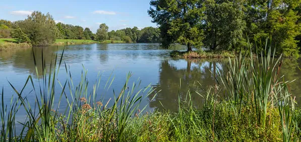 Appartement 2 pièces à Élancourt (78990) avec parking et livraison immédiate
