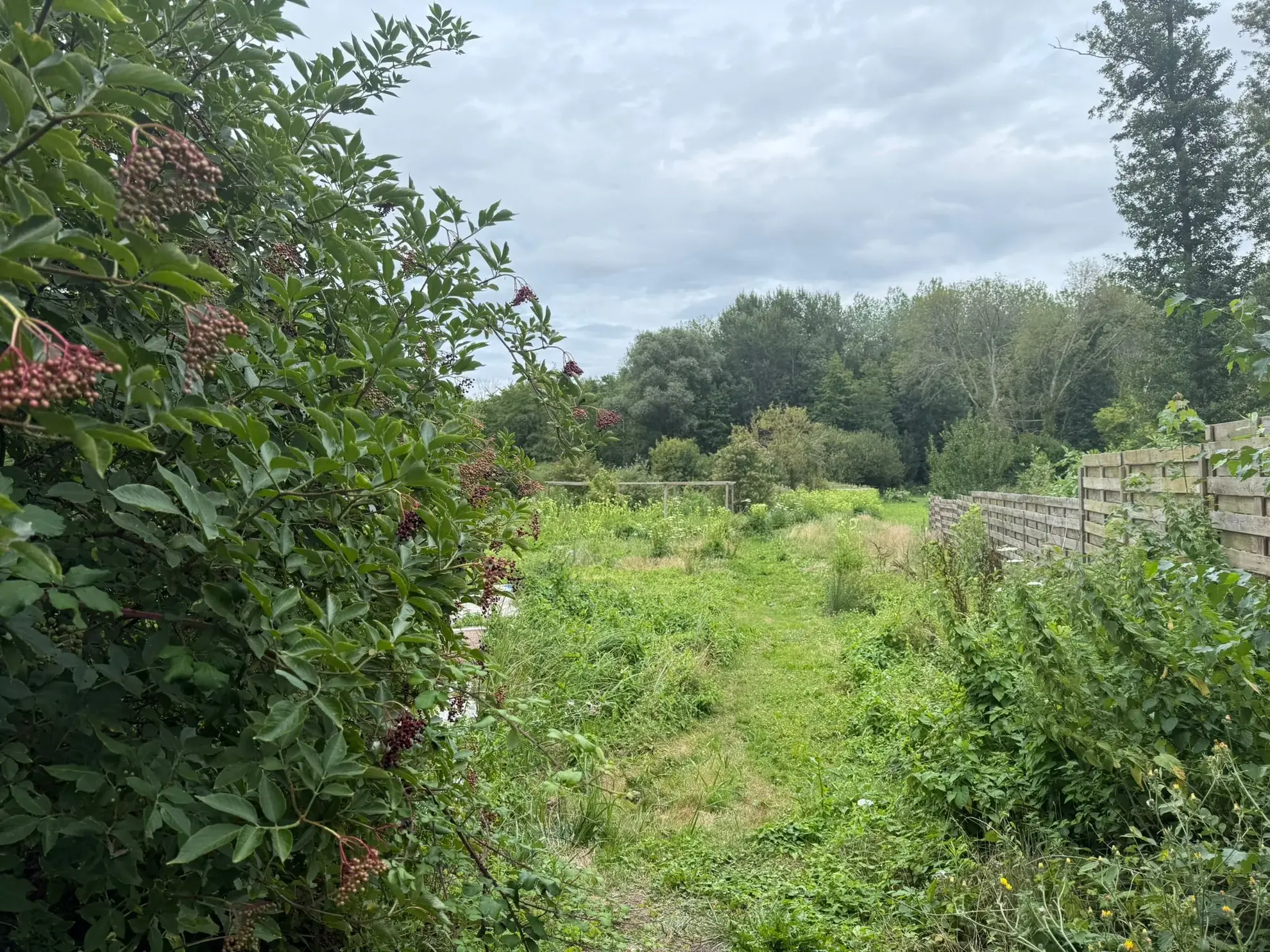 Terrain constructible de 3129 m² à Ormoy-la-Rivière, proche d'Étampes