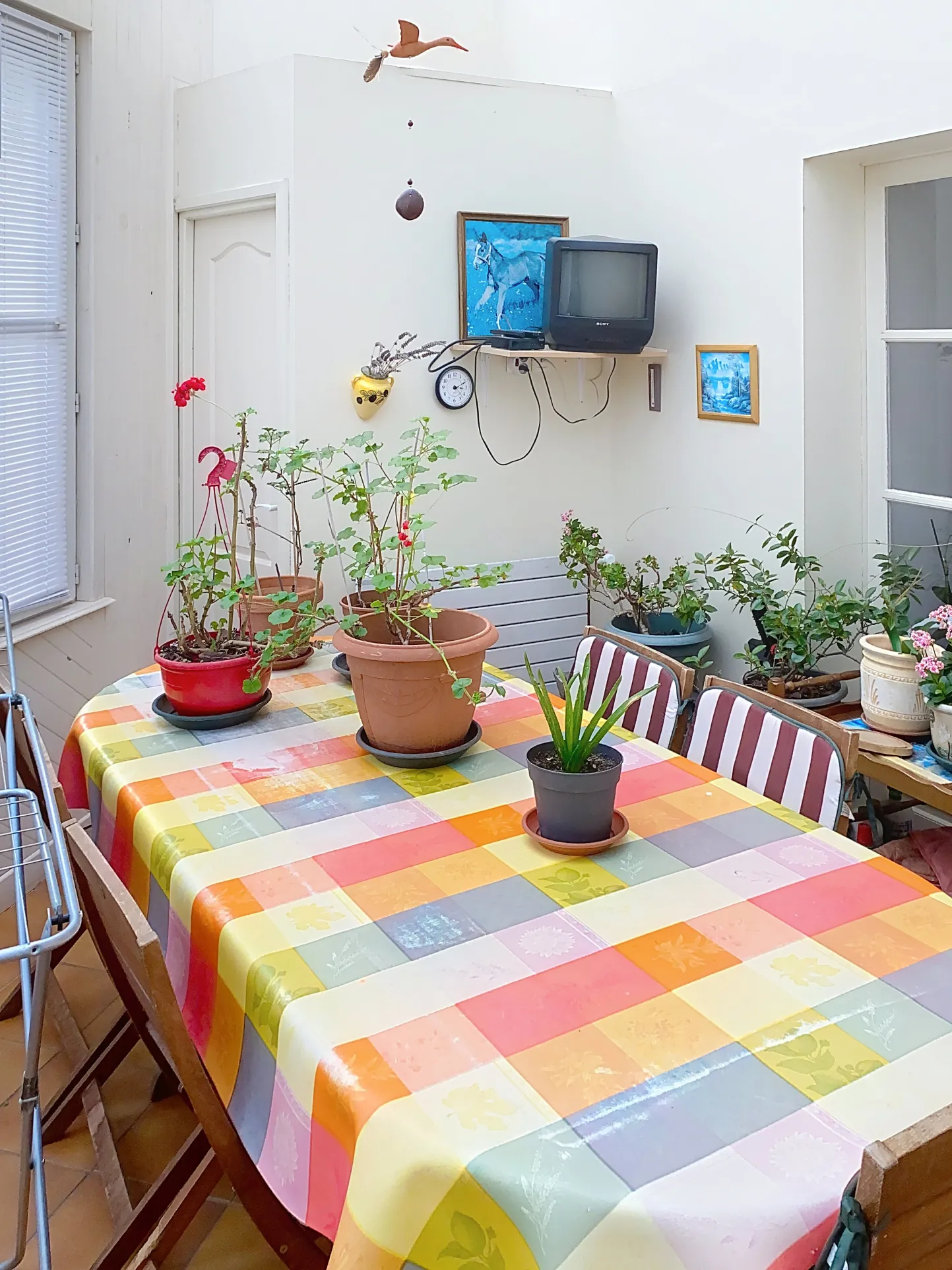 Magnifique maison de ville à Chateauneuf d'Ille-et-Vilaine avec terrain et espaces rénovés