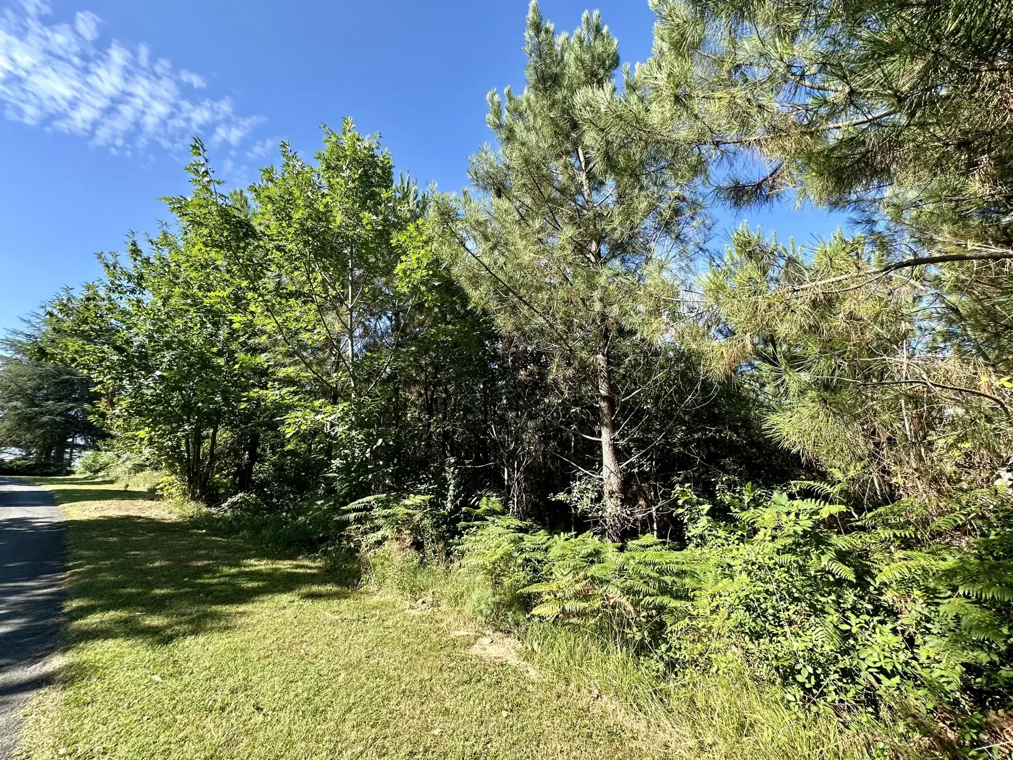 Terrain boisé de 2241 m² à Marquay, calme et proche du bourg