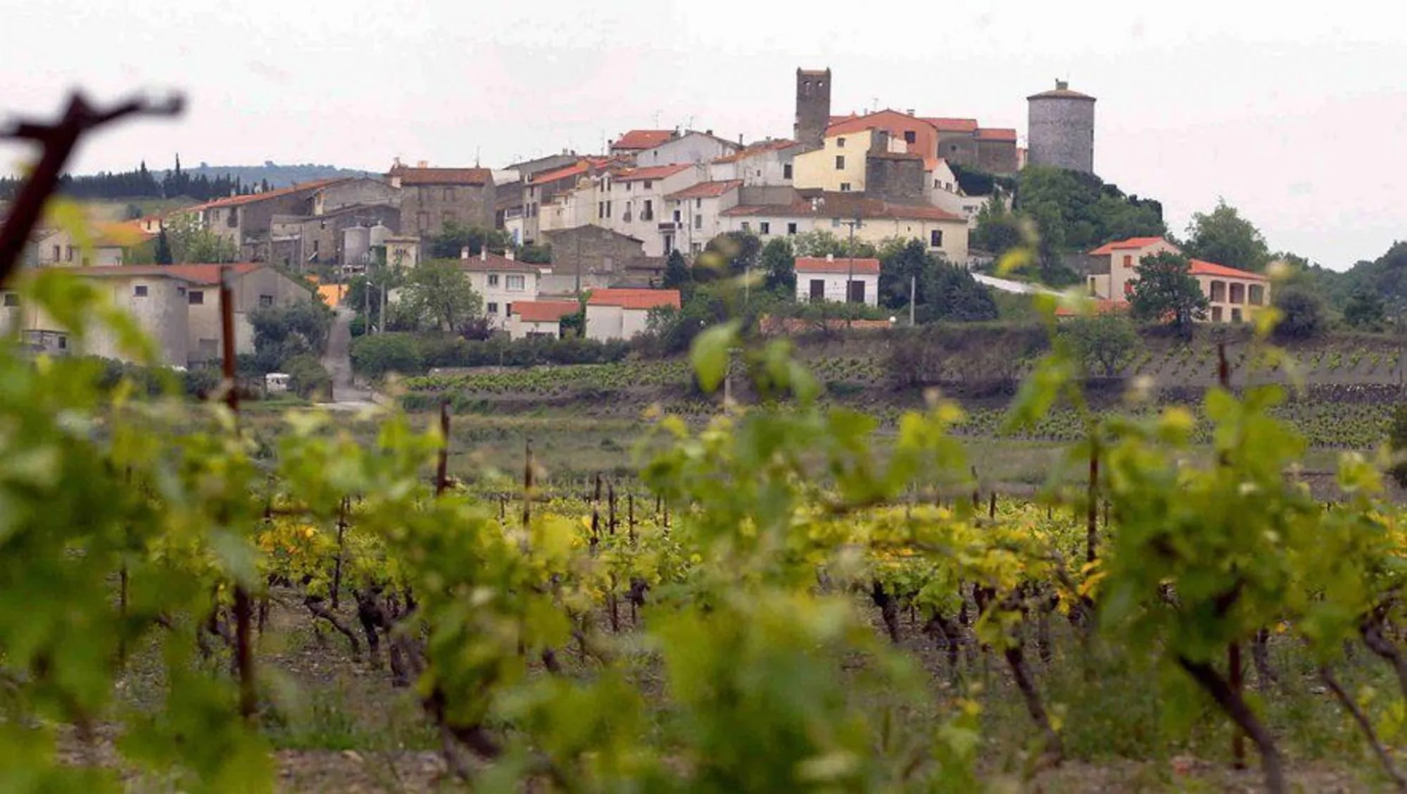 Terrain de 477 m² à Montner (66) pour construction sur-mesure