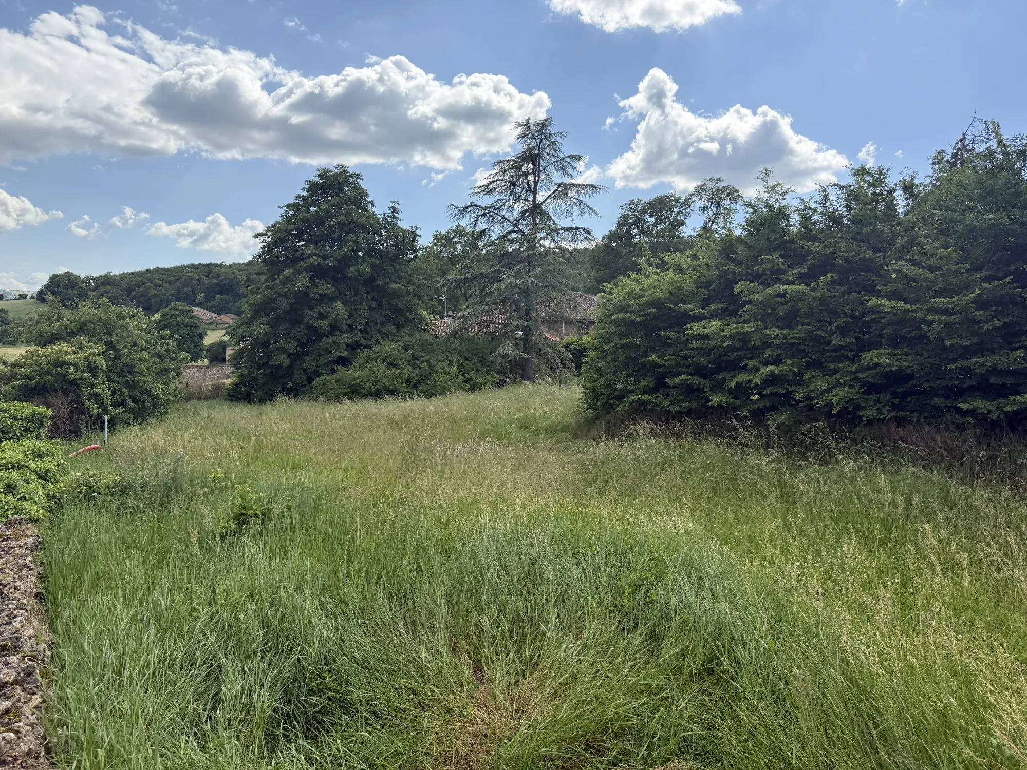 Terrain à vendre à Cogny avec permis de construire purgé