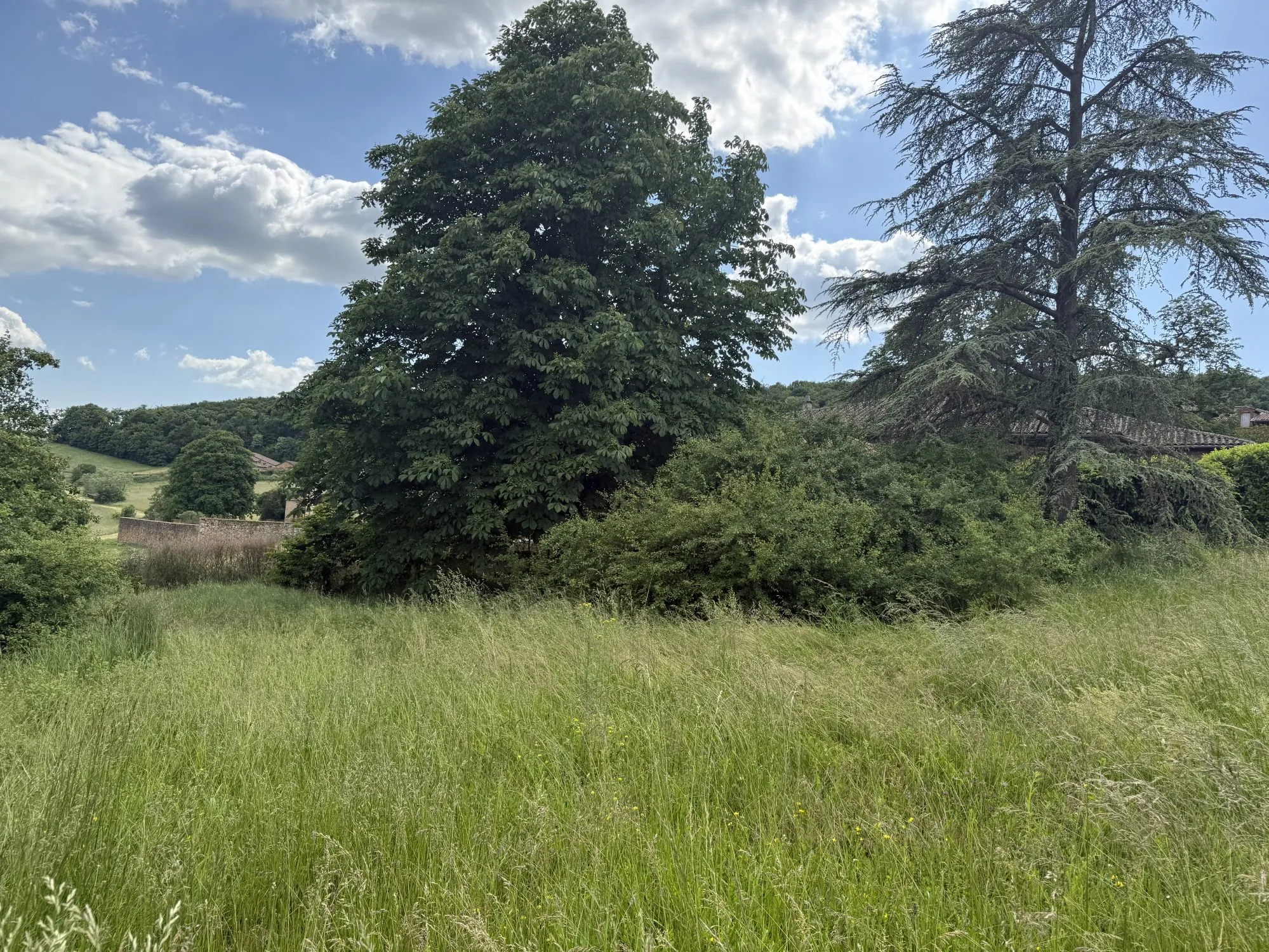 Terrain à vendre à Cogny avec permis de construire purgé 