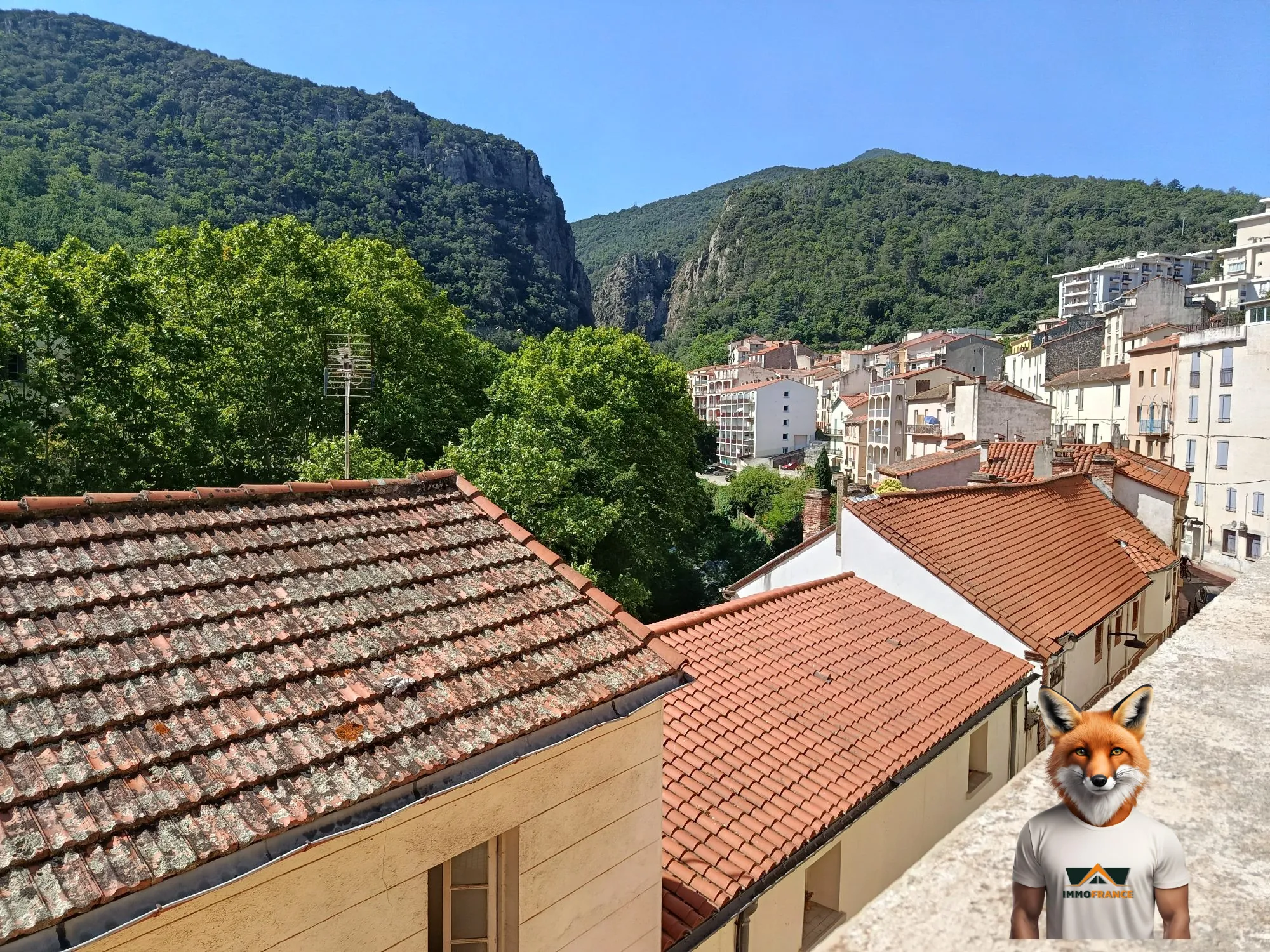 Appartement lumineux avec terrasse à Amélie-les-Bains, vue montagne, proche thermes