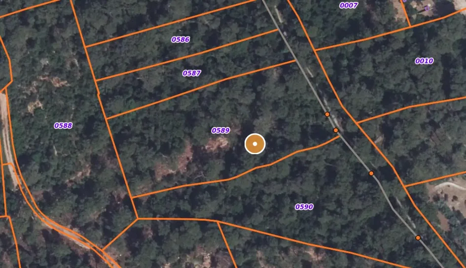 Terrain de 4 260 m² en zone N à Carnoules – Investissement nature