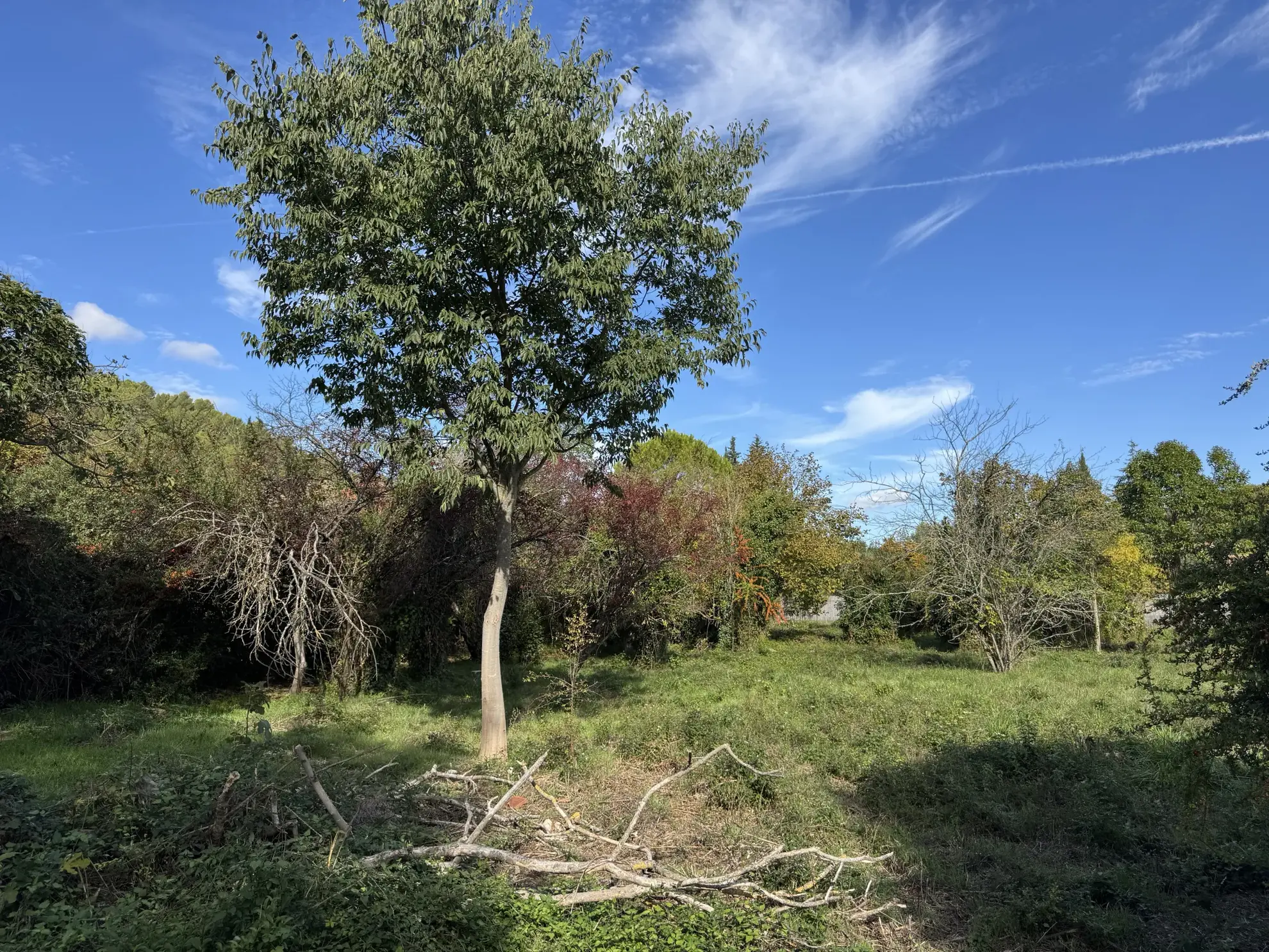Terrain à bâtir de 626 m² à Carnoules, emplacement calme et exposé sud 