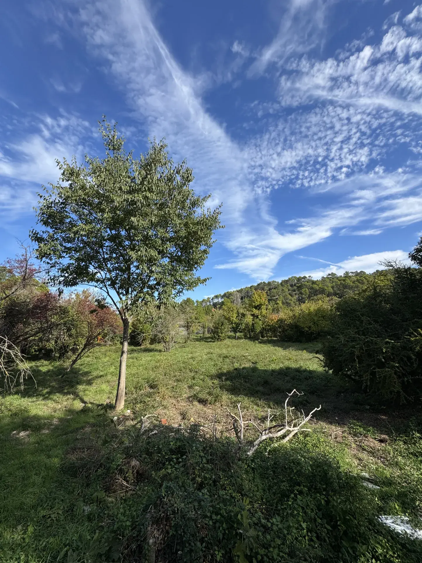 Terrain à bâtir de 626 m² à Carnoules, emplacement calme et exposé sud 