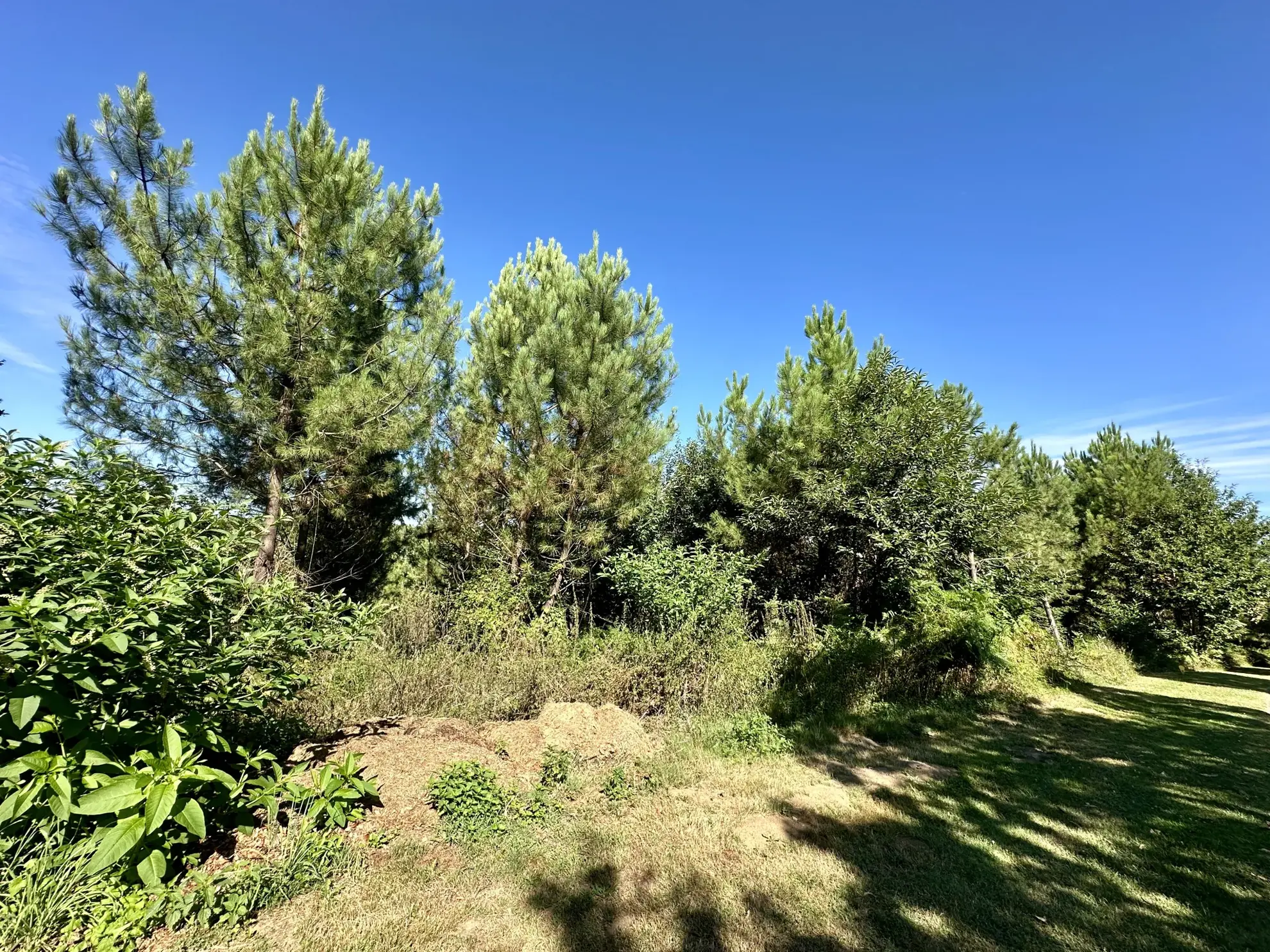 Terrain de 2374 m² à Marquay, calme et boisé, idéal pour construire