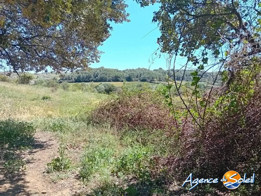 Terrain non constructible de 16 830 m² à Paraza près du canal du Midi