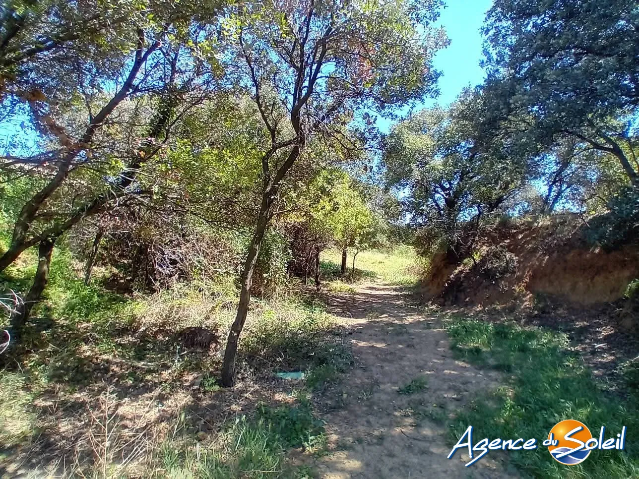 Terrain non constructible de 16 830 m² à Paraza près du canal du Midi 