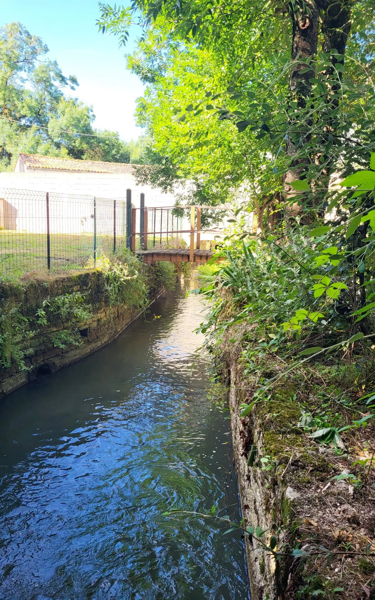 Ensemble immobilier à Néré avec deux maisons et revenu locatif 
